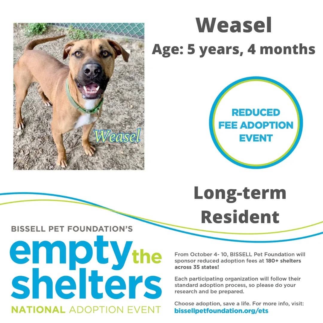 Don't miss out on the Bissell Pet Foundations Empty The Shelters Adoption event occurring this week until October 10th.

$25 FOR ALL ANIMALS!!!

The Humane Society of Marion County, Florida
We are located at:
701 NW 14th Rd
Ocala, Florida 34475
352.873.PETS

Additional event details can be found at:
https://fb.me/e/4aOYNJQQx

<a target='_blank' href='https://www.instagram.com/explore/tags/bissellpetfoundation/'>#bissellpetfoundation</a> <a target='_blank' href='https://www.instagram.com/explore/tags/bissell/'>#bissell</a> <a target='_blank' href='https://www.instagram.com/explore/tags/pets/'>#pets</a> <a target='_blank' href='https://www.instagram.com/explore/tags/instagram/'>#instagram</a> <a target='_blank' href='https://www.instagram.com/explore/tags/facebook/'>#facebook</a> <a target='_blank' href='https://www.instagram.com/explore/tags/HumaneSocietyofMarionCounty/'>#HumaneSocietyofMarionCounty</a> <a target='_blank' href='https://www.instagram.com/explore/tags/humanesociety/'>#humanesociety</a> <a target='_blank' href='https://www.instagram.com/explore/tags/MarionCounty/'>#MarionCounty</a> <a target='_blank' href='https://www.instagram.com/explore/tags/Ocala/'>#Ocala</a> <a target='_blank' href='https://www.instagram.com/explore/tags/Florida/'>#Florida</a> <a target='_blank' href='https://www.instagram.com/explore/tags/adoptlove/'>#adoptlove</a> <a target='_blank' href='https://www.instagram.com/explore/tags/adoptdontshop/'>#adoptdontshop</a>🐾 <a target='_blank' href='https://www.instagram.com/explore/tags/adoptadog/'>#adoptadog</a> <a target='_blank' href='https://www.instagram.com/explore/tags/adoptablecat/'>#adoptablecat</a> <a target='_blank' href='https://www.instagram.com/explore/tags/longterm/'>#longterm</a> <a target='_blank' href='https://www.instagram.com/explore/tags/adoptus/'>#adoptus</a> <a target='_blank' href='https://www.instagram.com/explore/tags/givelove/'>#givelove</a> <a target='_blank' href='https://www.instagram.com/explore/tags/doglife/'>#doglife</a>🐾 <a target='_blank' href='https://www.instagram.com/explore/tags/dogs_of_instagram/'>#dogs_of_instagram</a> <a target='_blank' href='https://www.instagram.com/explore/tags/catsofinstagram/'>#catsofinstagram</a> <a target='_blank' href='https://www.instagram.com/explore/tags/dogs/'>#dogs</a>🐶 <a target='_blank' href='https://www.instagram.com/explore/tags/cats/'>#cats</a>🐱 <a target='_blank' href='https://www.instagram.com/explore/tags/catsmeow/'>#catsmeow</a>