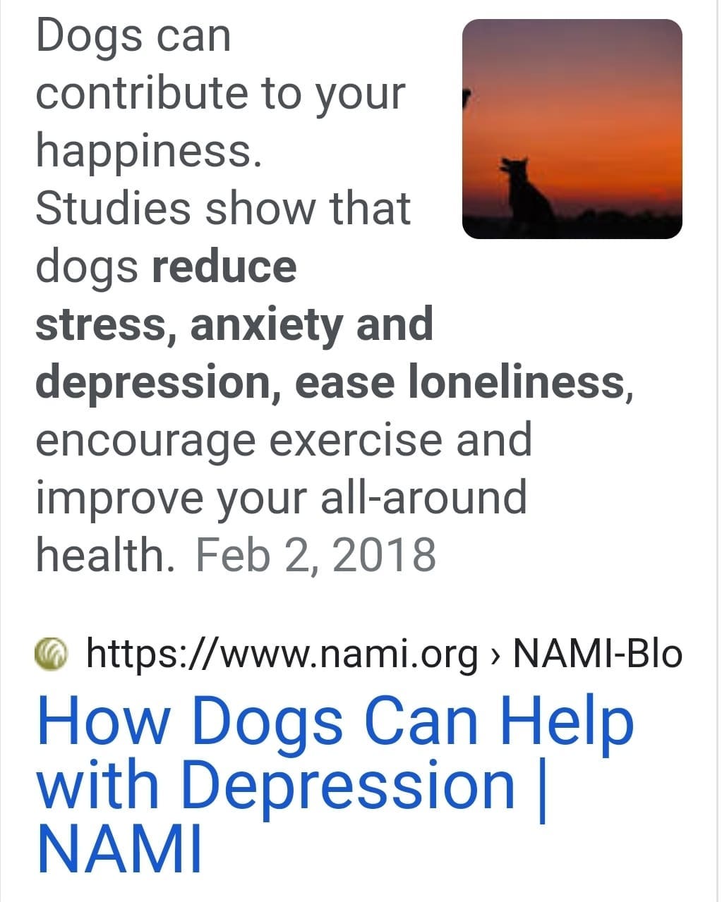 What do you do on World Mental Health Day? Adopt a dog, of course! 😁
<a target='_blank' href='https://www.instagram.com/explore/tags/mentalhealth/'>#mentalhealth</a> <a target='_blank' href='https://www.instagram.com/explore/tags/worldmentalhealthday/'>#worldmentalhealthday</a> <a target='_blank' href='https://www.instagram.com/explore/tags/rescuedogs/'>#rescuedogs</a> <a target='_blank' href='https://www.instagram.com/explore/tags/adoptdontshop/'>#adoptdontshop</a> <a target='_blank' href='https://www.instagram.com/explore/tags/dogsarefamily/'>#dogsarefamily</a> <a target='_blank' href='https://www.instagram.com/explore/tags/dogsbringjoy/'>#dogsbringjoy</a> <a target='_blank' href='https://www.instagram.com/explore/tags/connectionspetrescue/'>#connectionspetrescue</a>