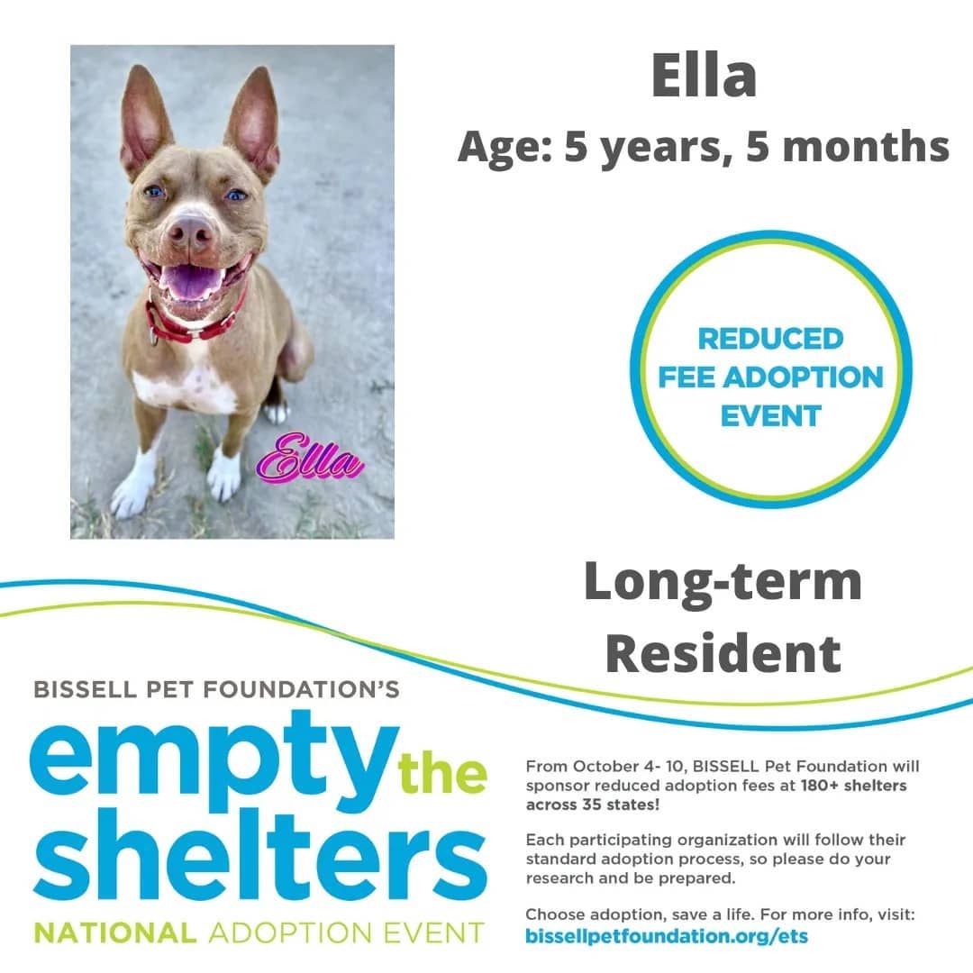 Don't miss out on the Bissell Pet Foundations Empty The Shelters Adoption event occurring this week until October 10th.

$25 FOR ALL ANIMALS!!!

The Humane Society of Marion County, Florida
We are located at:
701 NW 14th Rd
Ocala, Florida 34475
352.873.PETS

Additional event details can be found at:
https://fb.me/e/4aOYNJQQx

<a target='_blank' href='https://www.instagram.com/explore/tags/bissellpetfoundation/'>#bissellpetfoundation</a> <a target='_blank' href='https://www.instagram.com/explore/tags/bissell/'>#bissell</a> <a target='_blank' href='https://www.instagram.com/explore/tags/pets/'>#pets</a> <a target='_blank' href='https://www.instagram.com/explore/tags/instagram/'>#instagram</a> <a target='_blank' href='https://www.instagram.com/explore/tags/facebook/'>#facebook</a> <a target='_blank' href='https://www.instagram.com/explore/tags/HumaneSocietyofMarionCounty/'>#HumaneSocietyofMarionCounty</a> <a target='_blank' href='https://www.instagram.com/explore/tags/humanesociety/'>#humanesociety</a> <a target='_blank' href='https://www.instagram.com/explore/tags/MarionCounty/'>#MarionCounty</a> <a target='_blank' href='https://www.instagram.com/explore/tags/Ocala/'>#Ocala</a> <a target='_blank' href='https://www.instagram.com/explore/tags/Florida/'>#Florida</a> <a target='_blank' href='https://www.instagram.com/explore/tags/adoptlove/'>#adoptlove</a> <a target='_blank' href='https://www.instagram.com/explore/tags/adoptdontshop/'>#adoptdontshop</a>🐾 <a target='_blank' href='https://www.instagram.com/explore/tags/adoptadog/'>#adoptadog</a> <a target='_blank' href='https://www.instagram.com/explore/tags/adoptablecat/'>#adoptablecat</a> <a target='_blank' href='https://www.instagram.com/explore/tags/longterm/'>#longterm</a> <a target='_blank' href='https://www.instagram.com/explore/tags/adoptus/'>#adoptus</a> <a target='_blank' href='https://www.instagram.com/explore/tags/givelove/'>#givelove</a> <a target='_blank' href='https://www.instagram.com/explore/tags/doglife/'>#doglife</a>🐾 <a target='_blank' href='https://www.instagram.com/explore/tags/dogs_of_instagram/'>#dogs_of_instagram</a> <a target='_blank' href='https://www.instagram.com/explore/tags/catsofinstagram/'>#catsofinstagram</a> <a target='_blank' href='https://www.instagram.com/explore/tags/dogs/'>#dogs</a>🐶 <a target='_blank' href='https://www.instagram.com/explore/tags/cats/'>#cats</a>🐱 <a target='_blank' href='https://www.instagram.com/explore/tags/catsmeow/'>#catsmeow</a>
