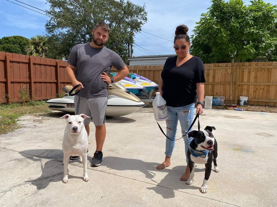 Tyson and his crew learning to co-exist and to respect each other. Thank you Tibor for your help and thank you Mindy for fostering our boy and giving him the love and care he needs and deserves. ❤️

<a target='_blank' href='https://www.instagram.com/explore/tags/teamwork/'>#teamwork</a>
<a target='_blank' href='https://www.instagram.com/explore/tags/zen/'>#zen</a>-K9
<a target='_blank' href='https://www.instagram.com/explore/tags/adoptTyson/'>#adoptTyson</a>