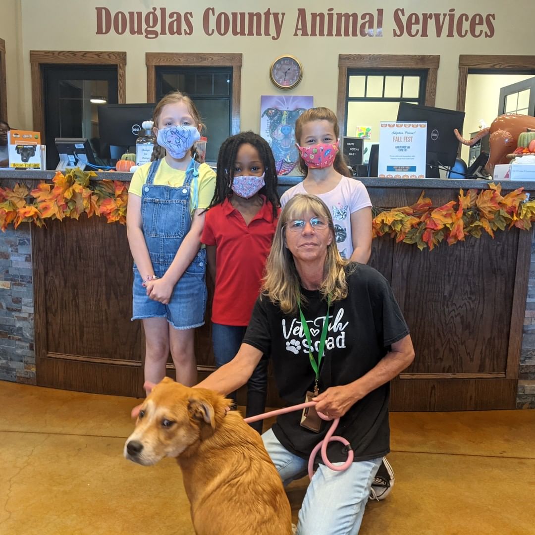 🍋🍋🥳🥳
Let's give a huge shout-out to these wonderful young entrepreneurs! They have once again brought our community together to raise money for the animals here at DCAS. A little bit of lemonade can go a long way! Thank you ladies!! 🐱🍋🐶❤️
 <a target='_blank' href='https://www.instagram.com/explore/tags/lemonadestand/'>#lemonadestand</a>