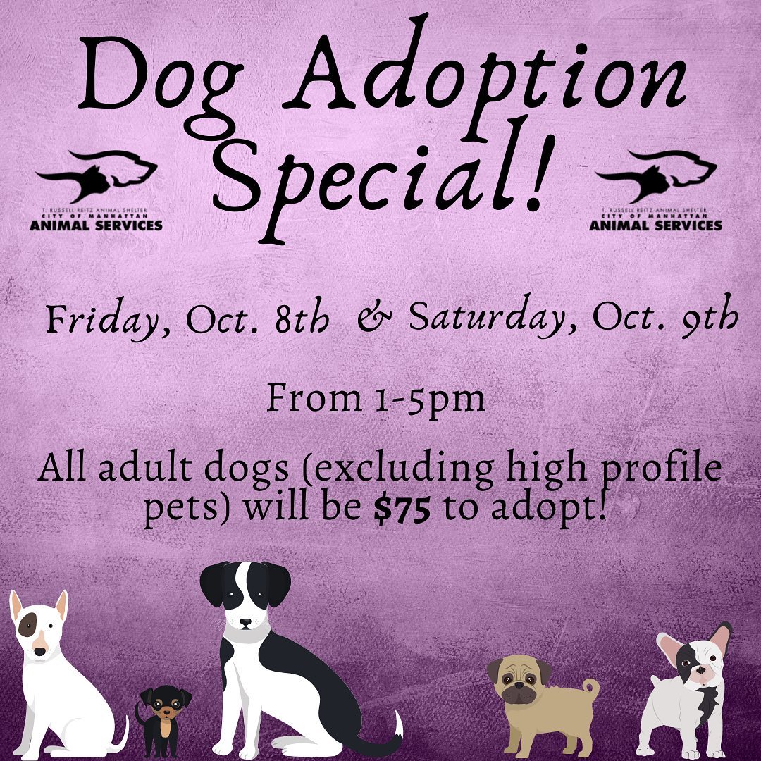If you’ve been thinking about adding a new addition to your family, this weekend is a perfect time! We have lots of great dogs available for adoption, and from 1-5 pm today (Oct. 8th) and tomorrow (Oct. 9th) all adult dogs (excluding high profile pets) will be just $75 to adopt! All of our pets come spayed/neutered and up to date on all vaccines! We also have lots of cute cats and kittens available, as well as a couple of guinea pigs! You can find the all of our adoptable pets at https://www.petfinder.com/search/pets-for-adoption/?shelter_id%5B0%5D=KS03&sort%5B0%5D=recently_added! If you have any questions, please feel free to give us a call at 785-587-2783.
