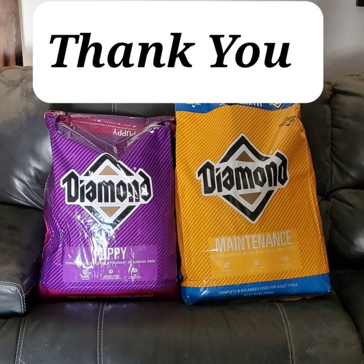 A big Thank You to the anonymous donor that purchased two 40lb bags of dog food from our Chewy wishlist! This was much needed. We also want to thank Lynn & Dianna for their recent donations. Our community is amazing ❤