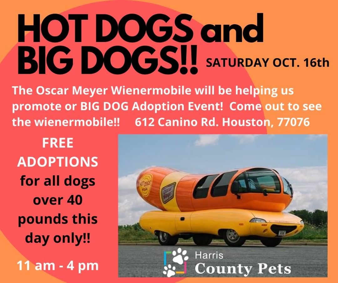 The Oscar Meyer Wienermobile will be here Saturday, Oct 16th to help us promote our Hot Dogs and Big Dogs adoption event.  FREE adoptions on all dogs over 40 pounds.  You can easily make an adoption appointment here:  https://kiosk.qless.com/kiosk/app/home/22052 or by calling 281-999-3191.  www.countypets.com