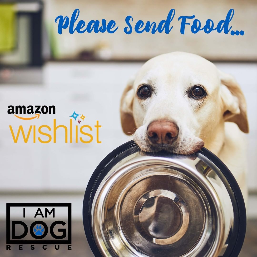 🐾 FOOD NEEDED FOR DOGS IN BOARDING 🐾

🌟 Our Amazon Wish List: https://a.co/brCDdAV

Our dogs in boarding are in need of food. 🤤 While we can usually feed them all the same food, we have Roxy, who needs a weight management diet and Leo, who does best on a senior diet. 
If you're able to help, you can order through our Amazon Wish List, and the food will deliver directly to our boarding partner.

<a target='_blank' href='https://www.instagram.com/explore/tags/thankyou/'>#thankyou</a> <a target='_blank' href='https://www.instagram.com/explore/tags/hungrydog/'>#hungrydog</a> <a target='_blank' href='https://www.instagram.com/explore/tags/wehavethebestsupporters/'>#wehavethebestsupporters</a> <a target='_blank' href='https://www.instagram.com/explore/tags/feedthedog/'>#feedthedog</a>