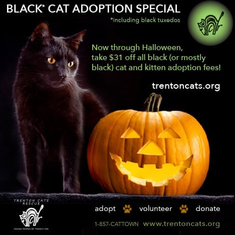 Black Cat Adoption Special applies to any Black and White and all Black cats and kittens adopted before November 1, 2021 through Trenton Cats Rescue. Get pre-approved at trentoncats.org 

<a target='_blank' href='https://www.instagram.com/explore/tags/blackcat/'>#blackcat</a> <a target='_blank' href='https://www.instagram.com/explore/tags/tuxedocat/'>#tuxedocat</a> <a target='_blank' href='https://www.instagram.com/explore/tags/halloweencat/'>#halloweencat</a> <a target='_blank' href='https://www.instagram.com/explore/tags/adoptvolunteerdonate/'>#adoptvolunteerdonate</a> <a target='_blank' href='https://www.instagram.com/explore/tags/adoptedismyfavoritebreed/'>#adoptedismyfavoritebreed</a> <a target='_blank' href='https://www.instagram.com/explore/tags/adoptdontshop/'>#adoptdontshop</a> <a target='_blank' href='https://www.instagram.com/explore/tags/adoption/'>#adoption</a> <a target='_blank' href='https://www.instagram.com/explore/tags/trentoncats/'>#trentoncats</a> <a target='_blank' href='https://www.instagram.com/explore/tags/trentoncatsrescue/'>#trentoncatsrescue</a> <a target='_blank' href='https://www.instagram.com/explore/tags/adoptacat/'>#adoptacat</a> <a target='_blank' href='https://www.instagram.com/explore/tags/adoptablackcat/'>#adoptablackcat</a>