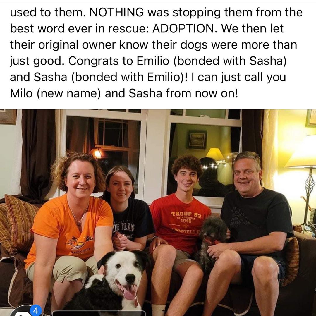 Last time to post them!
.
.
.
<a target='_blank' href='https://www.instagram.com/explore/tags/adopted/'>#adopted</a> <a target='_blank' href='https://www.instagram.com/explore/tags/adopteddog/'>#adopteddog</a> <a target='_blank' href='https://www.instagram.com/explore/tags/adopteddogsofinstagram/'>#adopteddogsofinstagram</a> <a target='_blank' href='https://www.instagram.com/explore/tags/fostercare/'>#fostercare</a> <a target='_blank' href='https://www.instagram.com/explore/tags/fosteringsaveslives/'>#fosteringsaveslives</a> <a target='_blank' href='https://www.instagram.com/explore/tags/fosterdogsofinstagram/'>#fosterdogsofinstagram</a> <a target='_blank' href='https://www.instagram.com/explore/tags/fosterdogs/'>#fosterdogs</a> <a target='_blank' href='https://www.instagram.com/explore/tags/emilio/'>#emilio</a> <a target='_blank' href='https://www.instagram.com/explore/tags/sasha/'>#sasha</a> <a target='_blank' href='https://www.instagram.com/explore/tags/bonded/'>#bonded</a> <a target='_blank' href='https://www.instagram.com/explore/tags/bondedpair/'>#bondedpair</a> <a target='_blank' href='https://www.instagram.com/explore/tags/rescuedogsofinstagram/'>#rescuedogsofinstagram</a> <a target='_blank' href='https://www.instagram.com/explore/tags/congrats/'>#congrats</a> <a target='_blank' href='https://www.instagram.com/explore/tags/yass/'>#yass</a> <a target='_blank' href='https://www.instagram.com/explore/tags/yassqueen/'>#yassqueen</a> <a target='_blank' href='https://www.instagram.com/explore/tags/happy/'>#happy</a> <a target='_blank' href='https://www.instagram.com/explore/tags/gotchaday/'>#gotchaday</a> <a target='_blank' href='https://www.instagram.com/explore/tags/wedidit/'>#wedidit</a> <a target='_blank' href='https://www.instagram.com/explore/tags/congratulations/'>#congratulations</a> <a target='_blank' href='https://www.instagram.com/explore/tags/wootwoot/'>#wootwoot</a> <a target='_blank' href='https://www.instagram.com/explore/tags/celebration/'>#celebration</a> <a target='_blank' href='https://www.instagram.com/explore/tags/celebrate/'>#celebrate</a>