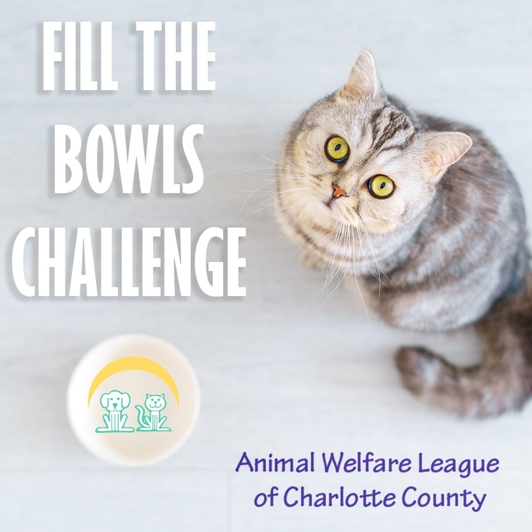 AWL Fill the Bowls Challenge!!!
Did you know that when you donate food, it doesn't just go to the pets we have at the shelter. We supply food for our foster families as well!

Below are the types of food we use:
Purina ONE Tender Selects Blend Adult Dry Cat Food
Any Brand Pate Wet Cat Food 
Purina ONE SmartBlend Natural Adult Lamb & Rice Dry Dog Food
Any Brand Pate Wet Dog Food

<a target='_blank' href='https://www.instagram.com/explore/tags/AWLFilltheBowlsChallenge/'>#AWLFilltheBowlsChallenge</a> <a target='_blank' href='https://www.instagram.com/explore/tags/AWLshelter/'>#AWLshelter</a> <a target='_blank' href='https://www.instagram.com/explore/tags/feedthepups/'>#feedthepups</a> <a target='_blank' href='https://www.instagram.com/explore/tags/feedthecats/'>#feedthecats</a> <a target='_blank' href='https://www.instagram.com/explore/tags/Shelterpetsarethebestpets/'>#Shelterpetsarethebestpets</a>