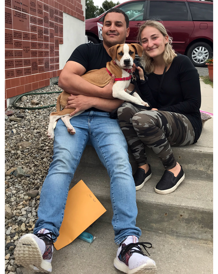 Adoptions make us SO HAPPY and we've had a very busy week! 😁Wishing our sweet pups lots of love and treats in their new homes! ❤🦴⁣
⁣
<a target='_blank' href='https://www.instagram.com/explore/tags/adopted/'>#adopted</a> <a target='_blank' href='https://www.instagram.com/explore/tags/petrescue/'>#petrescue</a> <a target='_blank' href='https://www.instagram.com/explore/tags/foreverhome/'>#foreverhome</a> <a target='_blank' href='https://www.instagram.com/explore/tags/homewardbound/'>#homewardbound</a>