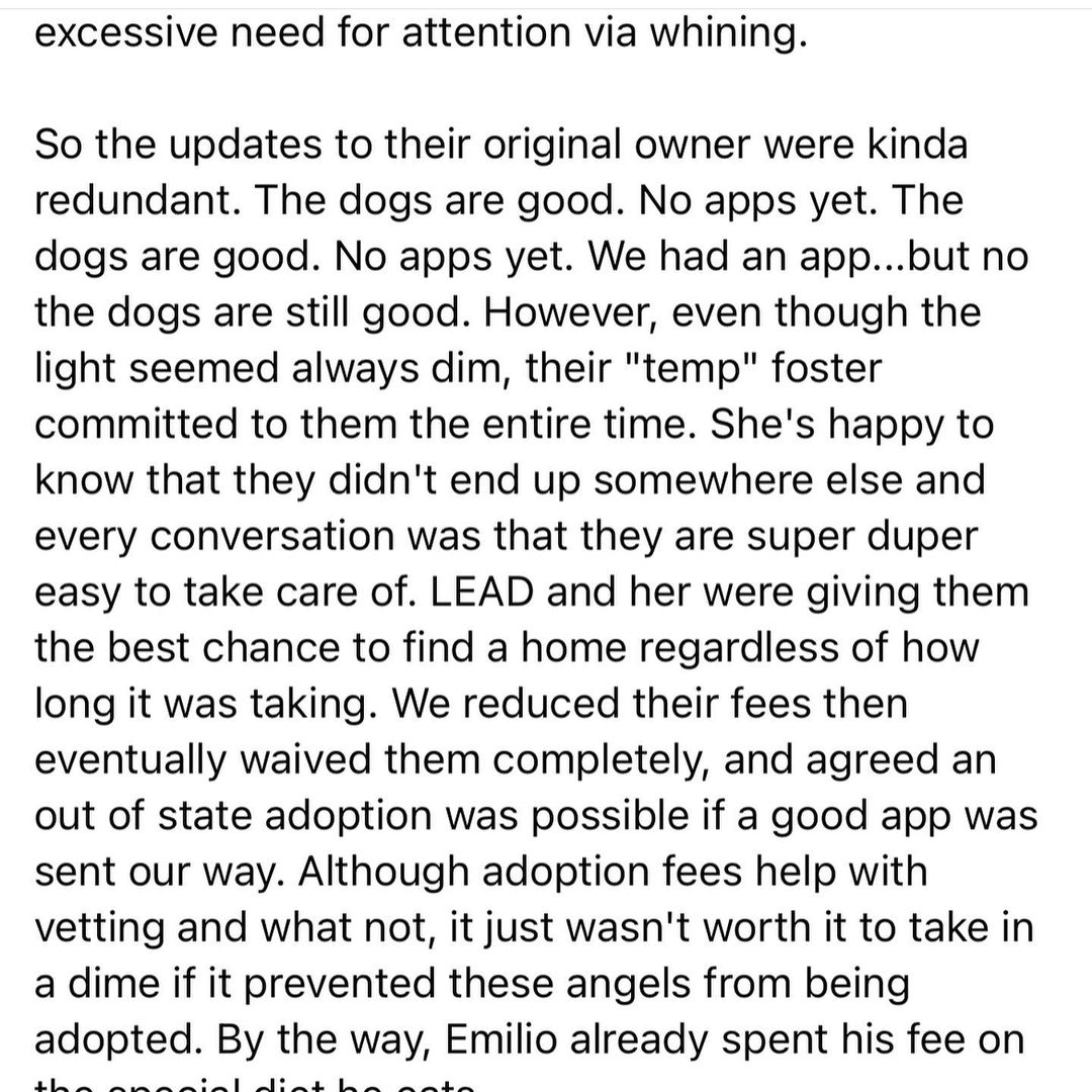 Last time to post them!
.
.
.
<a target='_blank' href='https://www.instagram.com/explore/tags/adopted/'>#adopted</a> <a target='_blank' href='https://www.instagram.com/explore/tags/adopteddog/'>#adopteddog</a> <a target='_blank' href='https://www.instagram.com/explore/tags/adopteddogsofinstagram/'>#adopteddogsofinstagram</a> <a target='_blank' href='https://www.instagram.com/explore/tags/fostercare/'>#fostercare</a> <a target='_blank' href='https://www.instagram.com/explore/tags/fosteringsaveslives/'>#fosteringsaveslives</a> <a target='_blank' href='https://www.instagram.com/explore/tags/fosterdogsofinstagram/'>#fosterdogsofinstagram</a> <a target='_blank' href='https://www.instagram.com/explore/tags/fosterdogs/'>#fosterdogs</a> <a target='_blank' href='https://www.instagram.com/explore/tags/emilio/'>#emilio</a> <a target='_blank' href='https://www.instagram.com/explore/tags/sasha/'>#sasha</a> <a target='_blank' href='https://www.instagram.com/explore/tags/bonded/'>#bonded</a> <a target='_blank' href='https://www.instagram.com/explore/tags/bondedpair/'>#bondedpair</a> <a target='_blank' href='https://www.instagram.com/explore/tags/rescuedogsofinstagram/'>#rescuedogsofinstagram</a> <a target='_blank' href='https://www.instagram.com/explore/tags/congrats/'>#congrats</a> <a target='_blank' href='https://www.instagram.com/explore/tags/yass/'>#yass</a> <a target='_blank' href='https://www.instagram.com/explore/tags/yassqueen/'>#yassqueen</a> <a target='_blank' href='https://www.instagram.com/explore/tags/happy/'>#happy</a> <a target='_blank' href='https://www.instagram.com/explore/tags/gotchaday/'>#gotchaday</a> <a target='_blank' href='https://www.instagram.com/explore/tags/wedidit/'>#wedidit</a> <a target='_blank' href='https://www.instagram.com/explore/tags/congratulations/'>#congratulations</a> <a target='_blank' href='https://www.instagram.com/explore/tags/wootwoot/'>#wootwoot</a> <a target='_blank' href='https://www.instagram.com/explore/tags/celebration/'>#celebration</a> <a target='_blank' href='https://www.instagram.com/explore/tags/celebrate/'>#celebrate</a>