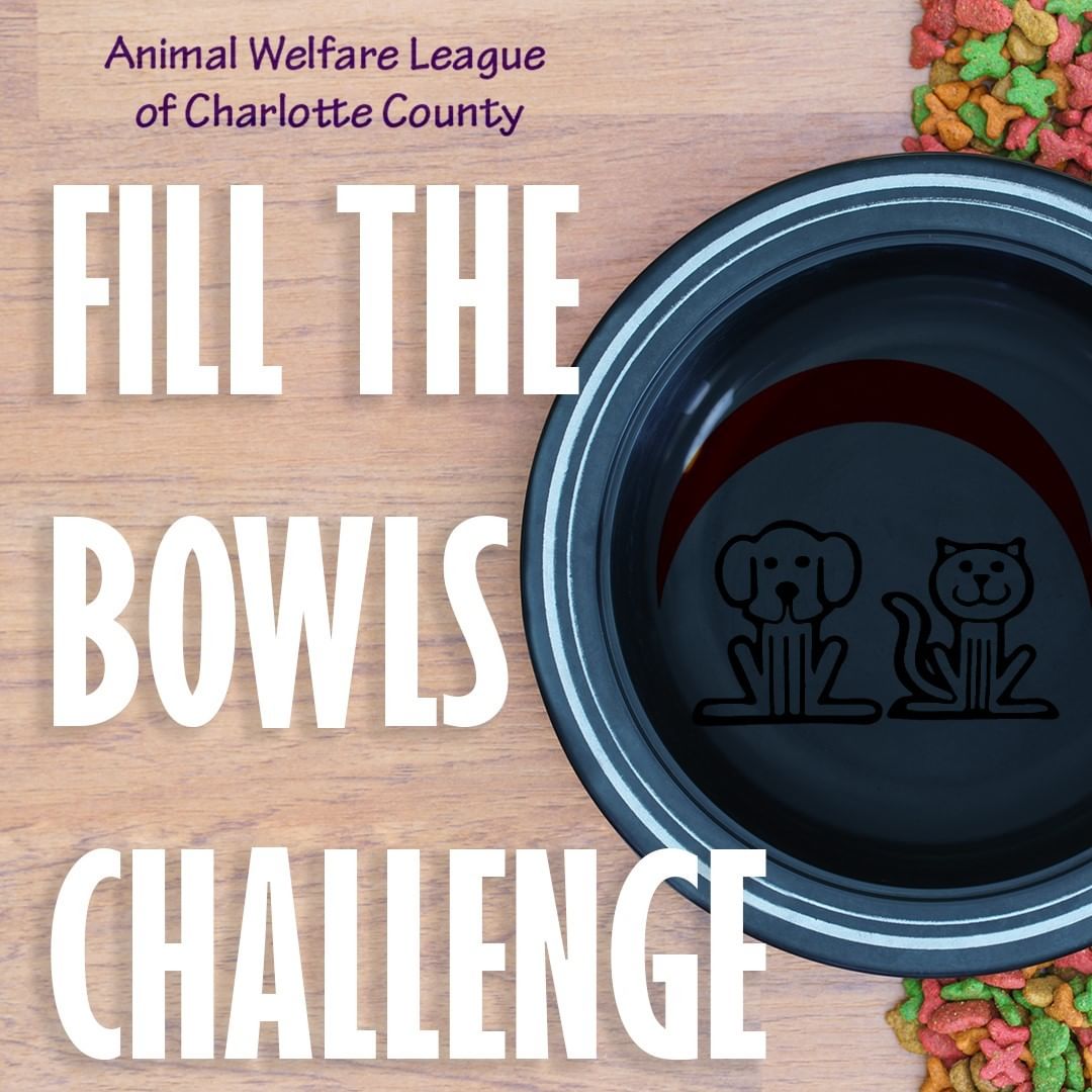 AWL Fill the Bowls Challenge!!!
Did you know that when you donate food, it doesn't just go to the pets we have at the shelter. We supply food for our foster families as well!

Below are the types of food we use:
Purina ONE Tender Selects Blend Adult Dry Cat Food
Any Brand Pate Wet Cat Food 
Purina ONE SmartBlend Natural Adult Lamb & Rice Dry Dog Food
Any Brand Pate Wet Dog Food

<a target='_blank' href='https://www.instagram.com/explore/tags/AWLFilltheBowlsChallenge/'>#AWLFilltheBowlsChallenge</a> <a target='_blank' href='https://www.instagram.com/explore/tags/AWLshelter/'>#AWLshelter</a> <a target='_blank' href='https://www.instagram.com/explore/tags/feedthepups/'>#feedthepups</a> <a target='_blank' href='https://www.instagram.com/explore/tags/feedthecats/'>#feedthecats</a> <a target='_blank' href='https://www.instagram.com/explore/tags/Shelterpetsarethebestpets/'>#Shelterpetsarethebestpets</a>