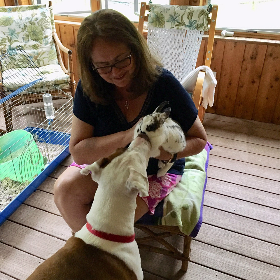 October is Pit Bull Awareness Month! 🐶❤️ Pit Bulls are often misunderstood and overlooked in shelters because of negative stereotypes – there are so many waiting and very deserving of loving homes.⁣
⁣
Our Toby waited for more than 6 months before being adopted by our wonderful kennel manager, Maria, and her family. This adora-bull pooch is a perfect example of how incredibly loving, friendly and gentle pitties can be! He greets everyone with unconditional love… including people of all ages, other dogs and even the occasional duck or rabbit!⁣
⁣
Do you have a VIP (very important pit bull)? Post their pic and tag us - let's celebrate them together! 🎉⁣
⁣
<a target='_blank' href='https://www.instagram.com/explore/tags/PitBullAwarenessMonth/'>#PitBullAwarenessMonth</a> <a target='_blank' href='https://www.instagram.com/explore/tags/pitbullawareness/'>#pitbullawareness</a> <a target='_blank' href='https://www.instagram.com/explore/tags/pittielove/'>#pittielove</a> <a target='_blank' href='https://www.instagram.com/explore/tags/changeminds/'>#changeminds</a> <a target='_blank' href='https://www.instagram.com/explore/tags/petrescuealum/'>#petrescuealum</a> <a target='_blank' href='https://www.instagram.com/explore/tags/pitbulllovers/'>#pitbulllovers</a> <a target='_blank' href='https://www.instagram.com/explore/tags/pitbullsarelove/'>#pitbullsarelove</a> <a target='_blank' href='https://www.instagram.com/explore/tags/pitbulllove/'>#pitbulllove</a> <a target='_blank' href='https://www.instagram.com/explore/tags/happytail/'>#happytail</a> <a target='_blank' href='https://www.instagram.com/explore/tags/pupdate/'>#pupdate</a>