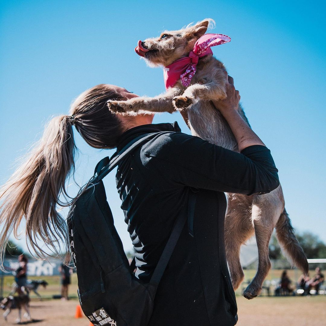 Roxy is ready to rock your world! 💕 if you’re looking for a lovable, sociable, and scruffy girl, Roxy would LOVE to meet you! This sweet petite gal is mild-mannered and adores everyone she meets. She loves to play and can’t wait to meet your family! ❤️