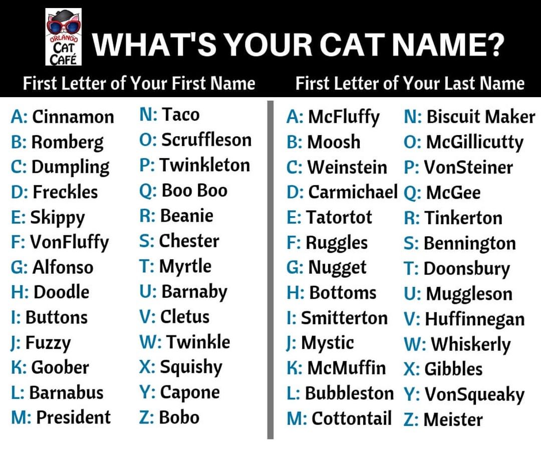 Let us know what your cat name is! 😺

Danza's is Freckles Bennington. 😹
Amanda's is Cinnamon Cottontail. 😹

<a target='_blank' href='https://www.instagram.com/explore/tags/CatNames/'>#CatNames</a> <a target='_blank' href='https://www.instagram.com/explore/tags/GamePlay/'>#GamePlay</a> <a target='_blank' href='https://www.instagram.com/explore/tags/TellUs/'>#TellUs</a> <a target='_blank' href='https://www.instagram.com/explore/tags/EverybodyWantsToBeACat/'>#EverybodyWantsToBeACat</a> <a target='_blank' href='https://www.instagram.com/explore/tags/Breaktime/'>#Breaktime</a> <a target='_blank' href='https://www.instagram.com/explore/tags/Fun/'>#Fun</a> <a target='_blank' href='https://www.instagram.com/explore/tags/Silly/'>#Silly</a> <a target='_blank' href='https://www.instagram.com/explore/tags/CatGames/'>#CatGames</a> <a target='_blank' href='https://www.instagram.com/explore/tags/Thursday/'>#Thursday</a>