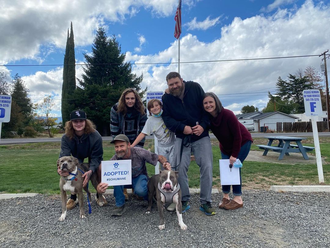 Busy, busy week here at SoHumane! 23 dogs and cats found forever homes this week. While the week isn't quite over yet we wanted to highlight some special adoptions that happened!

Featured are Pixie, Lloyd, and Floyd each eagerly jumping into their families car as soon their adoption was completed. 

Pixi found a home where she'll get plenty of one-on-one attention and might even go to work with her new dad! 

Floyd went home with fellow SoHumane alumni Baya. 
While Lloyd has a new playmate to romp around in the yard.

Nothing makes our hearts melt more than seeing these sweet dogs and cats go home. Congrats to all the families who adopted this week! ❤❤❤