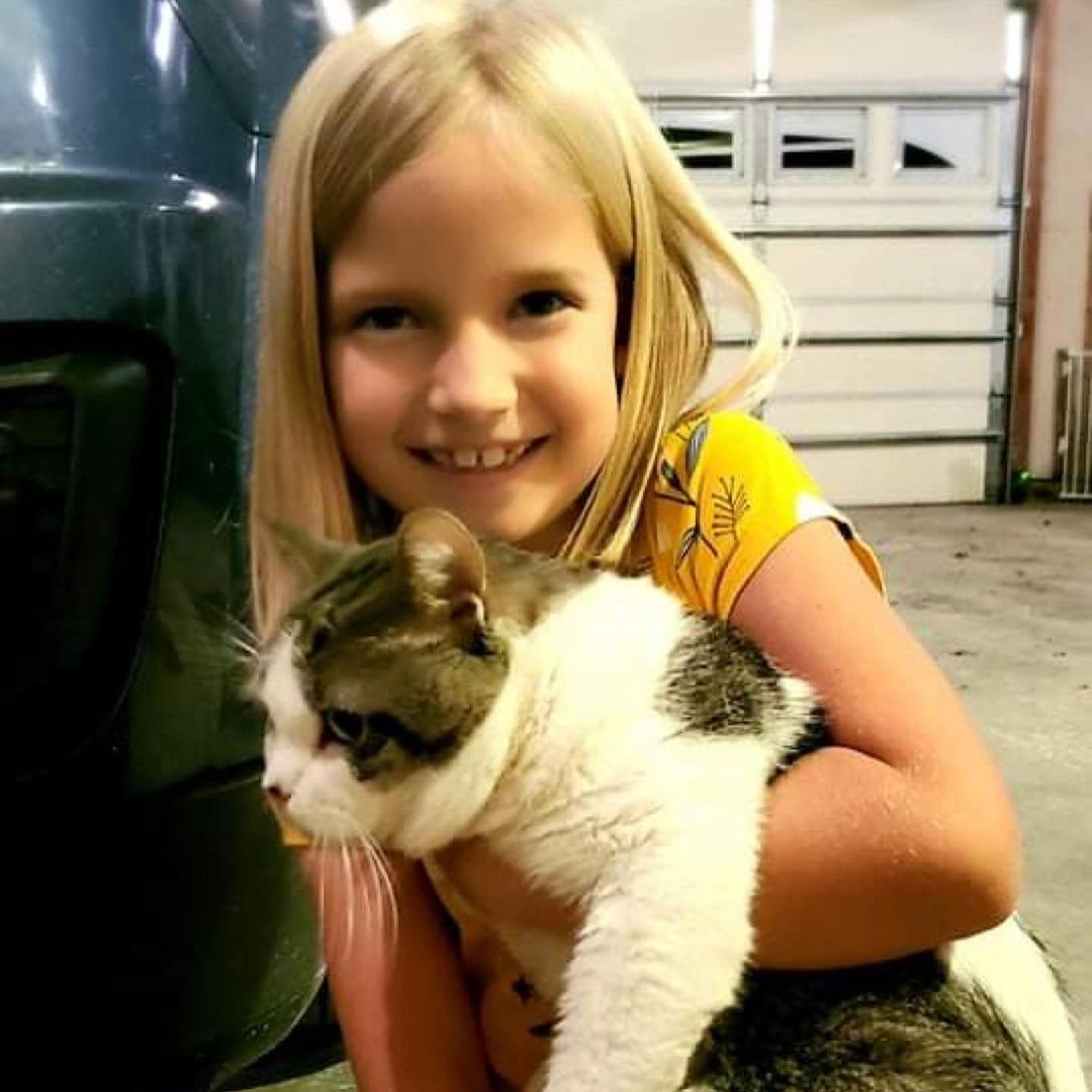 We love heartwarming adoption stories! ❤️

This sweet, gentle cat (now named Smokey) was brought to us in September by a Winona County Sheriff's Office deputy. When he was not reclaimed by an owner, the deputy’s family decided to come back and adopt him! This made for one happy young lady who very much wanted a cat 🥰 

Happy Adoption Day, Smokey! And congratulations to the loving new family 🤗

<a target='_blank' href='https://www.instagram.com/explore/tags/adoptionday/'>#adoptionday</a> <a target='_blank' href='https://www.instagram.com/explore/tags/adoptedcat/'>#adoptedcat</a> <a target='_blank' href='https://www.instagram.com/explore/tags/happyadoptionday/'>#happyadoptionday</a> <a target='_blank' href='https://www.instagram.com/explore/tags/tabbycat/'>#tabbycat</a> <a target='_blank' href='https://www.instagram.com/explore/tags/tabbyandwhite/'>#tabbyandwhite</a> <a target='_blank' href='https://www.instagram.com/explore/tags/sweetboy/'>#sweetboy</a> <a target='_blank' href='https://www.instagram.com/explore/tags/snugglycat/'>#snugglycat</a> <a target='_blank' href='https://www.instagram.com/explore/tags/happyfamily/'>#happyfamily</a> <a target='_blank' href='https://www.instagram.com/explore/tags/sheriffsdeputy/'>#sheriffsdeputy</a> <a target='_blank' href='https://www.instagram.com/explore/tags/winonacountysheriff/'>#winonacountysheriff</a> <a target='_blank' href='https://www.instagram.com/explore/tags/winonaareahumanesociety/'>#winonaareahumanesociety</a> <a target='_blank' href='https://www.instagram.com/explore/tags/wahs/'>#wahs</a> <a target='_blank' href='https://www.instagram.com/explore/tags/winona/'>#winona</a> <a target='_blank' href='https://www.instagram.com/explore/tags/humanesociety/'>#humanesociety</a> <a target='_blank' href='https://www.instagram.com/explore/tags/petadoption/'>#petadoption</a> <a target='_blank' href='https://www.instagram.com/explore/tags/foreverhome/'>#foreverhome</a> <a target='_blank' href='https://www.instagram.com/explore/tags/adoptdontshop/'>#adoptdontshop</a> <a target='_blank' href='https://www.instagram.com/explore/tags/chooseadoption/'>#chooseadoption</a> <a target='_blank' href='https://www.instagram.com/explore/tags/rescueismyfavoritebreed/'>#rescueismyfavoritebreed</a> <a target='_blank' href='https://www.instagram.com/explore/tags/rescuecats/'>#rescuecats</a> <a target='_blank' href='https://www.instagram.com/explore/tags/shelter/'>#shelter</a> <a target='_blank' href='https://www.instagram.com/explore/tags/sheltercat/'>#sheltercat</a> <a target='_blank' href='https://www.instagram.com/explore/tags/catsofinstagram/'>#catsofinstagram</a> <a target='_blank' href='https://www.instagram.com/explore/tags/sheltercatsofinstagram/'>#sheltercatsofinstagram</a> <a target='_blank' href='https://www.instagram.com/explore/tags/catstagram/'>#catstagram</a>