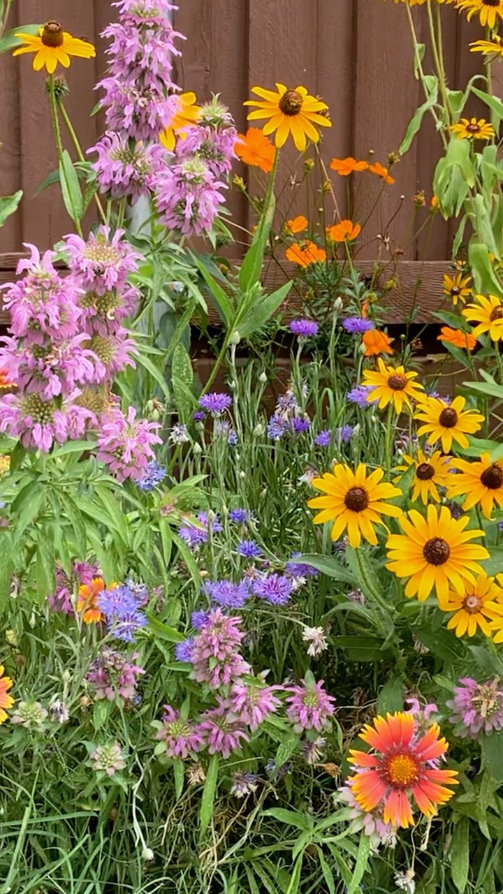 Take a stroll through beautiful, sustainable Plano gardens at the WaterWise Landscape Tour on Saturday, Oct. 23, 9 a.m - 3 p.m. 

This tour is:
🌷Free 
🌻Self-guided 
🌿And sure to inspire

Visit share.plano.gov/WWLT to learn more! 🦋🐝