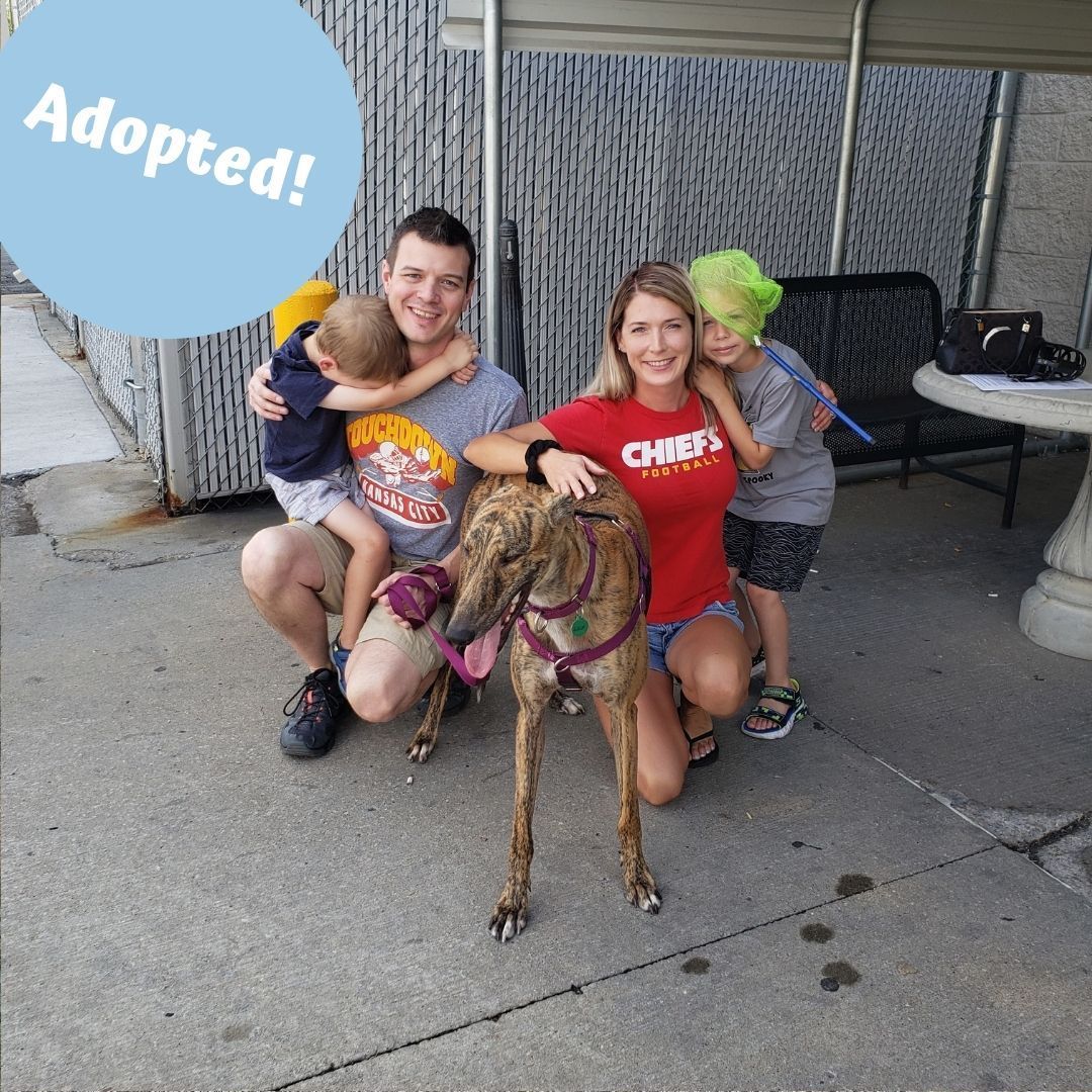 The Hawthorne family has adopted Slick. We can't wait to hear all the happy stories!