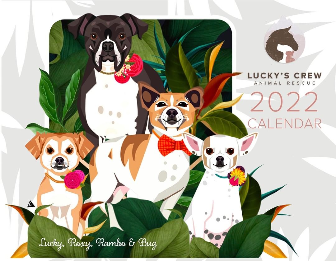 Who is ready for the <a target='_blank' href='https://www.instagram.com/explore/tags/2022Calendar/'>#2022Calendar</a> reveal?!? 
I cannot begin to express how proud I am of all the artists and the unique, one of a kind, magnificent portraits of our supporter's pets that they have created! They put in a lot of hard work and so much care into their artwork. I've had to fight back tears every time I received a new image because I know the story behind every pet whose portrait has been created and I also know how much these pieces will mean to the owners. It has been nothing short of spectacular and a huge roller-coaster ride of emotions putting everything together to create this calendar. 
I will share more images of what the calendar will look like over the next few days. I'm adding some finishing touches to the store (gasp! yes, I said store!) and the calendar (and a few more surprises) will be available for pre-order very, very soon! I expect the calendars to arrive at your doorsteps well before Christmas.
Thank you so, so much to everyone who has contributed to making this idea come to life! From the artists who dove in head first, not even knowing who we were but wanting to help nonetheless, to the generous donors without whom this would not be possible and to everyone else working behind the scenes. Thank you SO much!

-Ana

Cover by the amazing Anuradha Grover @artpurrr

<a target='_blank' href='https://www.instagram.com/explore/tags/2022rescuecalendar/'>#2022rescuecalendar</a> <a target='_blank' href='https://www.instagram.com/explore/tags/calendarfundraiser/'>#calendarfundraiser</a> <a target='_blank' href='https://www.instagram.com/explore/tags/luckyscalendar/'>#luckyscalendar</a> <a target='_blank' href='https://www.instagram.com/explore/tags/thankyou/'>#thankyou</a> <a target='_blank' href='https://www.instagram.com/explore/tags/dogsofbakersfield/'>#dogsofbakersfield</a> <a target='_blank' href='https://www.instagram.com/explore/tags/bakersfieldpets/'>#bakersfieldpets</a> <a target='_blank' href='https://www.instagram.com/explore/tags/animalrescue/'>#animalrescue</a> <a target='_blank' href='https://www.instagram.com/explore/tags/california/'>#california</a> <a target='_blank' href='https://www.instagram.com/explore/tags/kerncounty/'>#kerncounty</a>