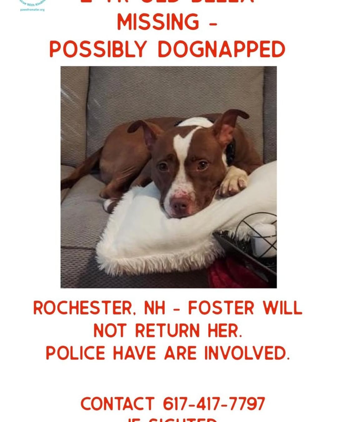 PLEASE SHARE, this is one of our foster babies 💔💔💔💔