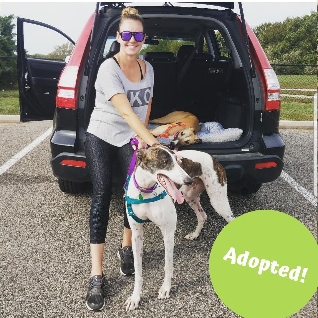 Kentucky found a forever home with Rachel and greyhound Tina. Congratulations to all!