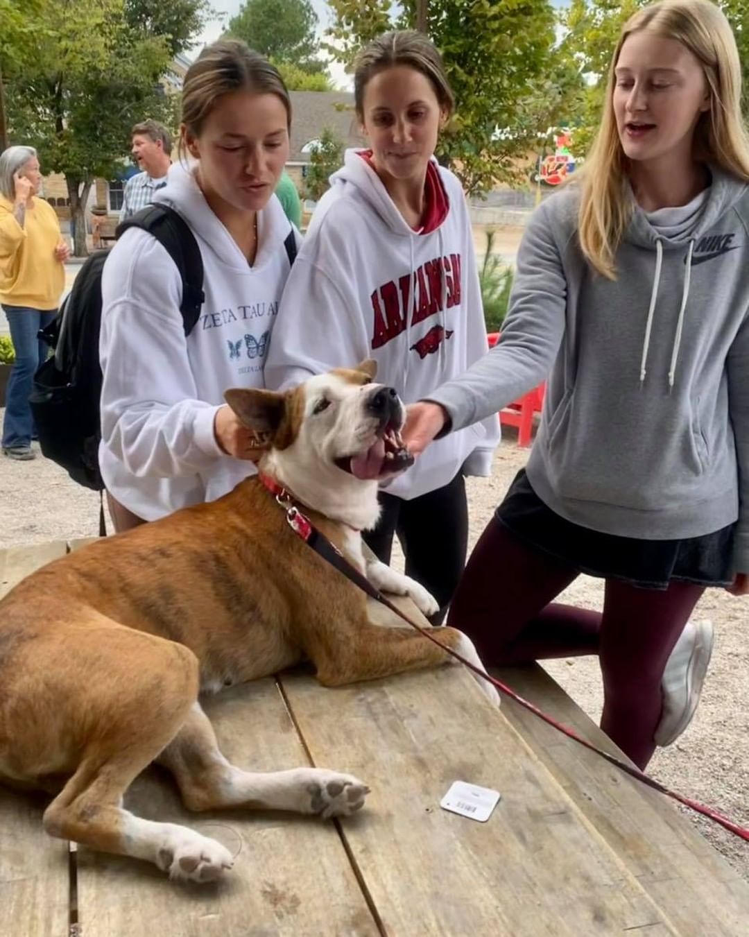 Thanks to everyone who came out yesterday and loved on our dogs. And thanks to @adventuresubaru and @ozarknaturalfoods for helping us host such a fun event! Safe to say, our pups really enjoyed themselves! 😜