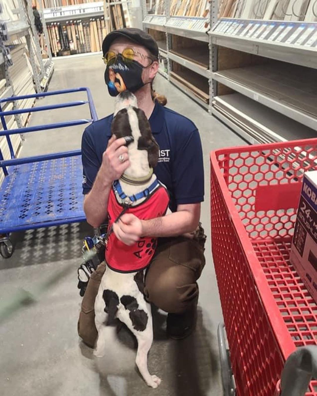 Buster enjoyed his visit to @loweshomeimprovement today, & it looks like everyone else did too! 😂
.
.
.
<a target='_blank' href='https://www.instagram.com/explore/tags/RangeRescue/'>#RangeRescue</a> <a target='_blank' href='https://www.instagram.com/explore/tags/pitbullsofinstagram/'>#pitbullsofinstagram</a>