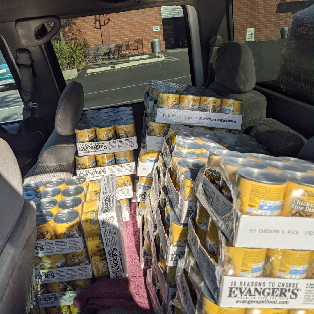 What does a month supply of food look like? Take a peek!  Thank you to the Basset Hound Club of Southern California for donation of 1 pallet of our kibble! <a target='_blank' href='https://www.instagram.com/explore/tags/daphneyland/'>#daphneyland</a> <a target='_blank' href='https://www.instagram.com/explore/tags/bhcsc/'>#bhcsc</a> <a target='_blank' href='https://www.instagram.com/explore/tags/houndsofinstagram/'>#houndsofinstagram</a> <a target='_blank' href='https://www.instagram.com/explore/tags/bassethoundsofinstagram/'>#bassethoundsofinstagram</a> <a target='_blank' href='https://www.instagram.com/explore/tags/nothingbetterthanabasset/'>#nothingbetterthanabasset</a> <a target='_blank' href='https://www.instagram.com/explore/tags/dailydrool/'>#dailydrool</a> <a target='_blank' href='https://www.instagram.com/explore/tags/rescuedogsofinstagram/'>#rescuedogsofinstagram</a> <a target='_blank' href='https://www.instagram.com/explore/tags/rescuelife/'>#rescuelife</a> <a target='_blank' href='https://www.instagram.com/explore/tags/bloodhoundsofinstagram/'>#bloodhoundsofinstagram</a>