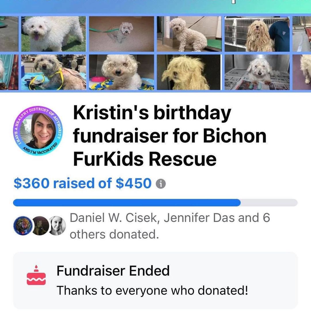 Shea is super tired from helping his momma raise $360! $360 raised for her birthday and donated to us! We love Birthday Fundraisers! $360 will cover the works and a dental on a generally healthy new shelter intake! Thank you, Kristen! <a target='_blank' href='https://www.instagram.com/explore/tags/birthdayfundraiser/'>#birthdayfundraiser</a> <a target='_blank' href='https://www.instagram.com/explore/tags/grateful/'>#grateful</a>