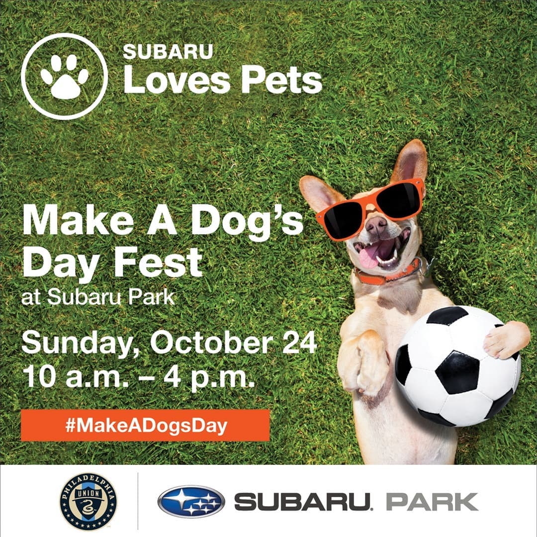 Come out & see us at Subaru Park in West Chester on 10/24! Thanks to @subaru_usa and @philaunion for hosting this event <a target='_blank' href='https://www.instagram.com/explore/tags/MakeADogsDay/'>#MakeADogsDay</a> <a target='_blank' href='https://www.instagram.com/explore/tags/adoptdontshop/'>#adoptdontshop</a> <a target='_blank' href='https://www.instagram.com/explore/tags/arcticspiritrescue/'>#arcticspiritrescue</a> <a target='_blank' href='https://www.instagram.com/explore/tags/rescuedogs/'>#rescuedogs</a> <a target='_blank' href='https://www.instagram.com/explore/tags/rescuedogsofinstagram/'>#rescuedogsofinstagram</a> <a target='_blank' href='https://www.instagram.com/explore/tags/fosteringsaveslives/'>#fosteringsaveslives</a> <a target='_blank' href='https://www.instagram.com/explore/tags/fosterdogsofinstagram/'>#fosterdogsofinstagram</a> <a target='_blank' href='https://www.instagram.com/explore/tags/fosterdogs/'>#fosterdogs</a> <a target='_blank' href='https://www.instagram.com/explore/tags/dogs/'>#dogs</a> <a target='_blank' href='https://www.instagram.com/explore/tags/siberianhusky/'>#siberianhusky</a> <a target='_blank' href='https://www.instagram.com/explore/tags/siberianhuskiesofinstagram/'>#siberianhuskiesofinstagram</a> <a target='_blank' href='https://www.instagram.com/explore/tags/husky/'>#husky</a> <a target='_blank' href='https://www.instagram.com/explore/tags/huskiesofinstagram/'>#huskiesofinstagram</a> <a target='_blank' href='https://www.instagram.com/explore/tags/malamute/'>#malamute</a> <a target='_blank' href='https://www.instagram.com/explore/tags/malamutesofinstagram/'>#malamutesofinstagram</a> <a target='_blank' href='https://www.instagram.com/explore/tags/huskymix/'>#huskymix</a> <a target='_blank' href='https://www.instagram.com/explore/tags/muttsofinstagram/'>#muttsofinstagram</a> <a target='_blank' href='https://www.instagram.com/explore/tags/philadelphiaunion/'>#philadelphiaunion</a> <a target='_blank' href='https://www.instagram.com/explore/tags/westchester/'>#westchester</a> <a target='_blank' href='https://www.instagram.com/explore/tags/subaru/'>#subaru</a>