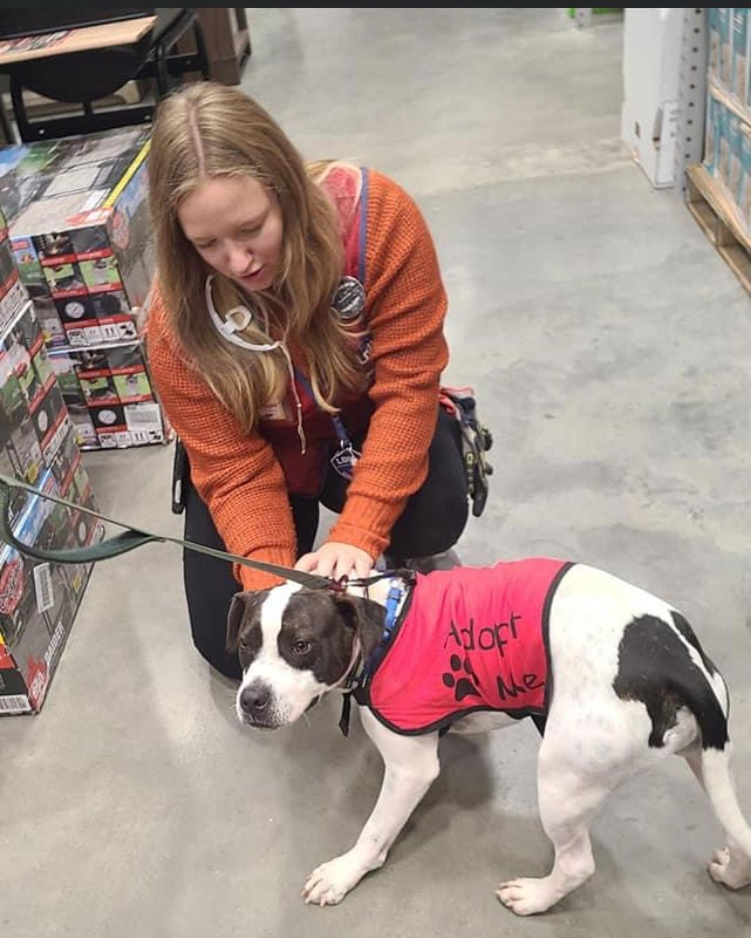 Buster enjoyed his visit to @loweshomeimprovement today, & it looks like everyone else did too! 😂
.
.
.
<a target='_blank' href='https://www.instagram.com/explore/tags/RangeRescue/'>#RangeRescue</a> <a target='_blank' href='https://www.instagram.com/explore/tags/pitbullsofinstagram/'>#pitbullsofinstagram</a>