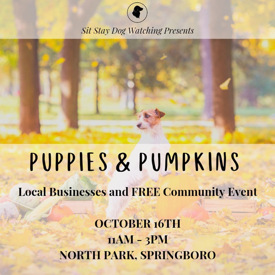 🐶🎃Come out to the Puppies and Pumpkins event today! We will have a few of our available dogs there as well as selling costumes and winter clothes for the pups!

https://facebook.com/events/s/puppies-pumpkins/530737554617232/