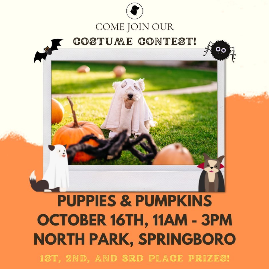 🐶🎃Come out to the Puppies and Pumpkins event today! We will have a few of our available dogs there as well as selling costumes and winter clothes for the pups!

https://facebook.com/events/s/puppies-pumpkins/530737554617232/