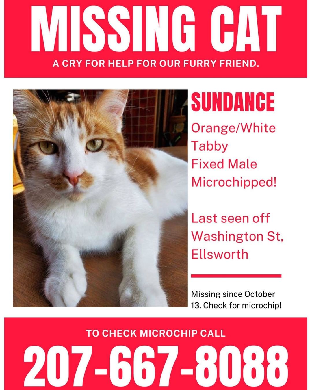 Have you seen me? 😿

Sundance, previously Frisky from our SPCA, went missing on October 13, 2021. He is a neutered male with a microchip (982126053875383) so if you see a kitty matching his description, please bring him to your local shelter or vet and have him scanned to reunite him with his family!

<a target='_blank' href='https://www.instagram.com/explore/tags/lost/'>#lost</a> <a target='_blank' href='https://www.instagram.com/explore/tags/findme/'>#findme</a> <a target='_blank' href='https://www.instagram.com/explore/tags/lostpets/'>#lostpets</a> <a target='_blank' href='https://www.instagram.com/explore/tags/lostcat/'>#lostcat</a> <a target='_blank' href='https://www.instagram.com/explore/tags/lostcats/'>#lostcats</a> <a target='_blank' href='https://www.instagram.com/explore/tags/lostkitty/'>#lostkitty</a> <a target='_blank' href='https://www.instagram.com/explore/tags/helpme/'>#helpme</a> <a target='_blank' href='https://www.instagram.com/explore/tags/helpimlost/'>#helpimlost</a>