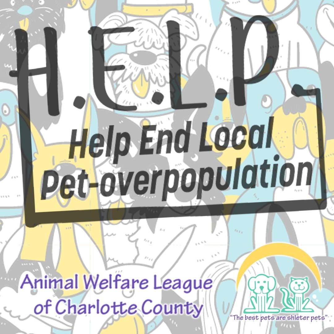 H.E.L.P.  is here!
The “Help End Local Pet-overpopulation” program is a partnership between Charlotte County Animal Control and the Animal Welfare League of Charlotte County for a new program to provide low-cost sterilization for pets of Charlotte County residents.
To see if you qualify for this program, please visit our Website and click on the H.E.L.P button under the 