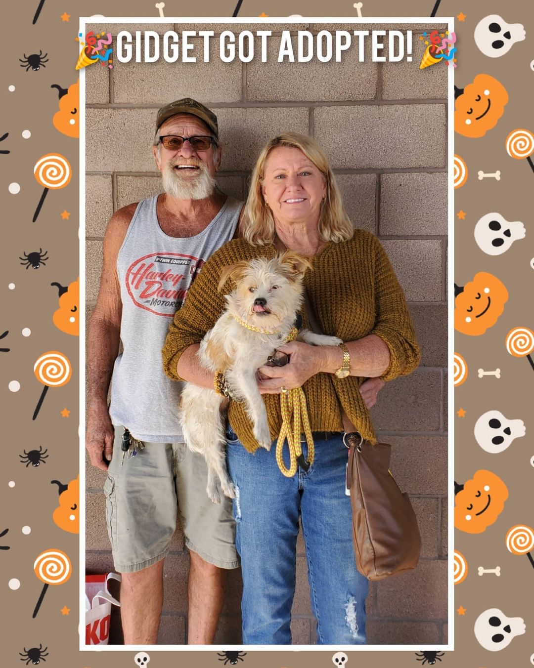 🎃🎉 Adoption Photos!! 🎉🎃

🎉Elvis has been adopted by the Harbour Family.  He now has 2 fur brothers and a human brother Max who love him so much!!

🎉Rip was adopted by Mimi. He has a new fur sister named Belle. His new mommy doesn't mind that Rip has no understanding of what personal space is. Lol

🎉Gidget was adopted by the Standiford's. They are completely in love and will give her the best life.

🐾Thank you to these families who couldn't be more of a perfect fit for there new fur family member. 🥰 🐾

<a target='_blank' href='https://www.instagram.com/explore/tags/adoptionsaveslives/'>#adoptionsaveslives</a> <a target='_blank' href='https://www.instagram.com/explore/tags/bakersfield/'>#bakersfield</a> <a target='_blank' href='https://www.instagram.com/explore/tags/kerncounty/'>#kerncounty</a> <a target='_blank' href='https://www.instagram.com/explore/tags/makingadifference/'>#makingadifference</a> <a target='_blank' href='https://www.instagram.com/explore/tags/furfriends4life/'>#furfriends4life</a> <a target='_blank' href='https://www.instagram.com/explore/tags/nonprofitrescue/'>#nonprofitrescue</a> <a target='_blank' href='https://www.instagram.com/explore/tags/doglovers/'>#doglovers</a> <a target='_blank' href='https://www.instagram.com/explore/tags/animallovers/'>#animallovers</a> <a target='_blank' href='https://www.instagram.com/explore/tags/happysunday/'>#happysunday</a> <a target='_blank' href='https://www.instagram.com/explore/tags/happyfaces/'>#happyfaces</a> <a target='_blank' href='https://www.instagram.com/explore/tags/newfamilymember/'>#newfamilymember</a> <a target='_blank' href='https://www.instagram.com/explore/tags/elvis/'>#elvis</a> <a target='_blank' href='https://www.instagram.com/explore/tags/rip/'>#rip</a> <a target='_blank' href='https://www.instagram.com/explore/tags/gidget/'>#gidget</a> <a target='_blank' href='https://www.instagram.com/explore/tags/volunteers/'>#volunteers</a> <a target='_blank' href='https://www.instagram.com/explore/tags/donations/'>#donations</a> <a target='_blank' href='https://www.instagram.com/explore/tags/like/'>#like</a> <a target='_blank' href='https://www.instagram.com/explore/tags/share/'>#share</a> <a target='_blank' href='https://www.instagram.com/explore/tags/bekind/'>#bekind</a> <a target='_blank' href='https://www.instagram.com/explore/tags/october/'>#october</a> <a target='_blank' href='https://www.instagram.com/explore/tags/halloween/'>#halloween</a>