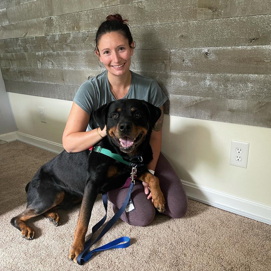 Ruckus is adopted! 
<a target='_blank' href='https://www.instagram.com/explore/tags/rescuedogsofinstagram/'>#rescuedogsofinstagram</a> <a target='_blank' href='https://www.instagram.com/explore/tags/rottweilersofinstagram/'>#rottweilersofinstagram</a> <a target='_blank' href='https://www.instagram.com/explore/tags/rottweilerrescue/'>#rottweilerrescue</a> <a target='_blank' href='https://www.instagram.com/explore/tags/fosteringsaveslives/'>#fosteringsaveslives</a>