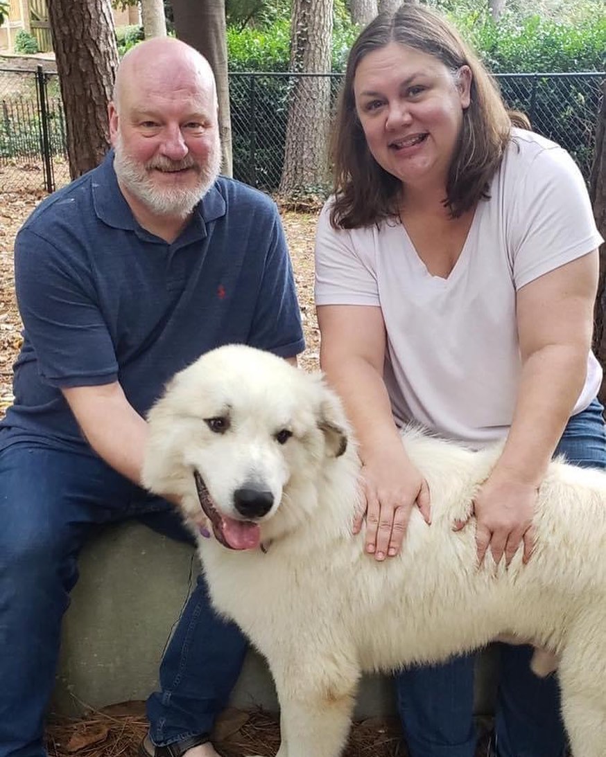 Congratulations to Finn & his new family!

<a target='_blank' href='https://www.instagram.com/explore/tags/orphanannierescue/'>#orphanannierescue</a>