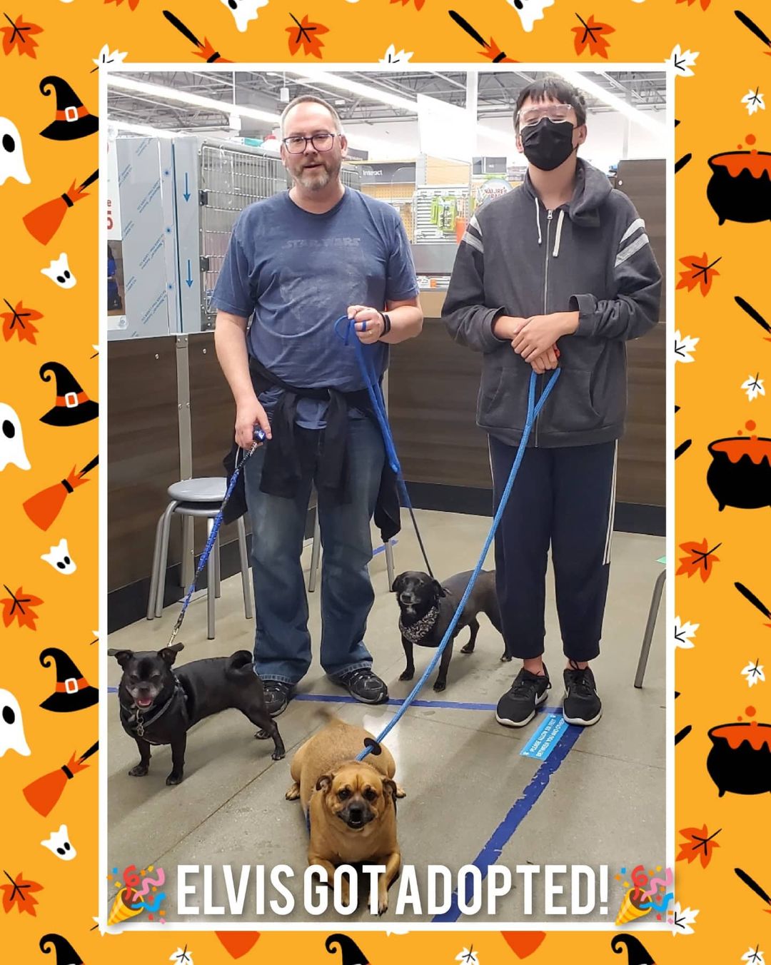 🎃🎉 Adoption Photos!! 🎉🎃

🎉Elvis has been adopted by the Harbour Family.  He now has 2 fur brothers and a human brother Max who love him so much!!

🎉Rip was adopted by Mimi. He has a new fur sister named Belle. His new mommy doesn't mind that Rip has no understanding of what personal space is. Lol

🎉Gidget was adopted by the Standiford's. They are completely in love and will give her the best life.

🐾Thank you to these families who couldn't be more of a perfect fit for there new fur family member. 🥰 🐾

<a target='_blank' href='https://www.instagram.com/explore/tags/adoptionsaveslives/'>#adoptionsaveslives</a> <a target='_blank' href='https://www.instagram.com/explore/tags/bakersfield/'>#bakersfield</a> <a target='_blank' href='https://www.instagram.com/explore/tags/kerncounty/'>#kerncounty</a> <a target='_blank' href='https://www.instagram.com/explore/tags/makingadifference/'>#makingadifference</a> <a target='_blank' href='https://www.instagram.com/explore/tags/furfriends4life/'>#furfriends4life</a> <a target='_blank' href='https://www.instagram.com/explore/tags/nonprofitrescue/'>#nonprofitrescue</a> <a target='_blank' href='https://www.instagram.com/explore/tags/doglovers/'>#doglovers</a> <a target='_blank' href='https://www.instagram.com/explore/tags/animallovers/'>#animallovers</a> <a target='_blank' href='https://www.instagram.com/explore/tags/happysunday/'>#happysunday</a> <a target='_blank' href='https://www.instagram.com/explore/tags/happyfaces/'>#happyfaces</a> <a target='_blank' href='https://www.instagram.com/explore/tags/newfamilymember/'>#newfamilymember</a> <a target='_blank' href='https://www.instagram.com/explore/tags/elvis/'>#elvis</a> <a target='_blank' href='https://www.instagram.com/explore/tags/rip/'>#rip</a> <a target='_blank' href='https://www.instagram.com/explore/tags/gidget/'>#gidget</a> <a target='_blank' href='https://www.instagram.com/explore/tags/volunteers/'>#volunteers</a> <a target='_blank' href='https://www.instagram.com/explore/tags/donations/'>#donations</a> <a target='_blank' href='https://www.instagram.com/explore/tags/like/'>#like</a> <a target='_blank' href='https://www.instagram.com/explore/tags/share/'>#share</a> <a target='_blank' href='https://www.instagram.com/explore/tags/bekind/'>#bekind</a> <a target='_blank' href='https://www.instagram.com/explore/tags/october/'>#october</a> <a target='_blank' href='https://www.instagram.com/explore/tags/halloween/'>#halloween</a>