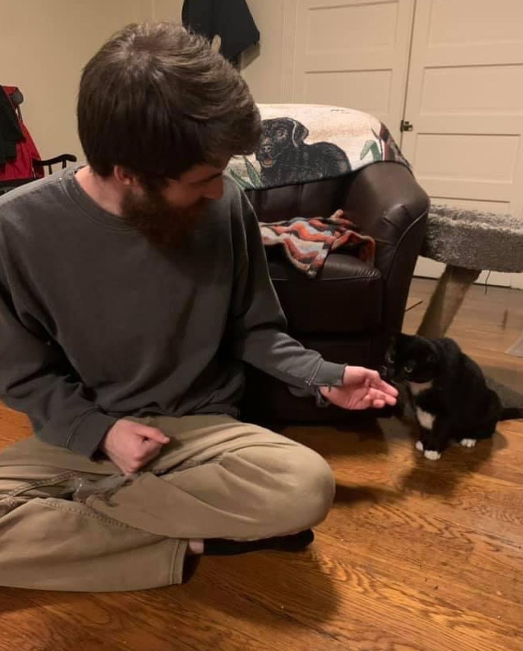 We are so excited that our older cat, Socks, found a home! Her new dad was friends with the foster, and got to know Socks over time, and decided to make her a permanent family member!

Thank you to Brittany for fostering Socks!