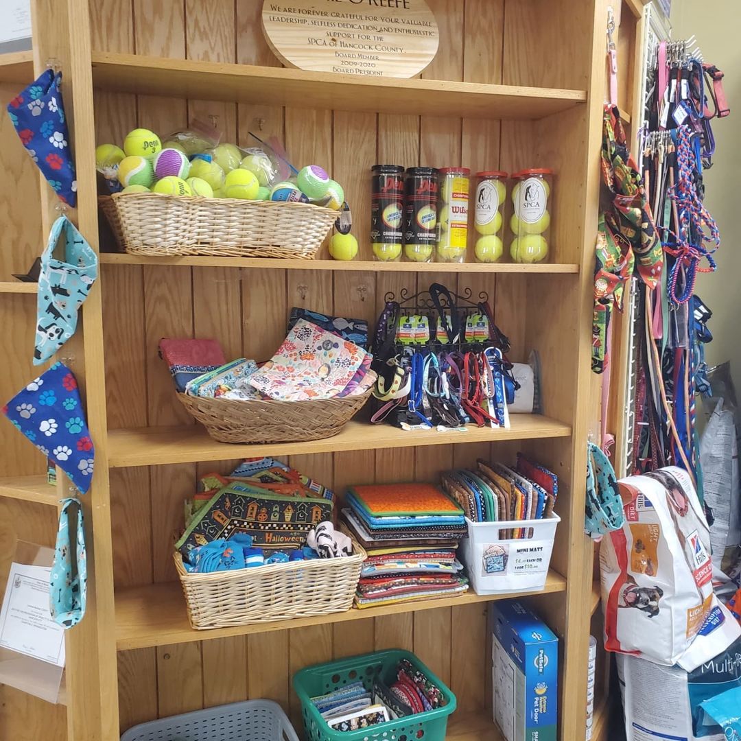 Looking for new-to-you pet supplies? We have loads of brushes, collars, harnesses, and more in our pet pantry this week. Feel free to call us at 667-8088 and schedule a time to pick up what you need!

<a target='_blank' href='https://www.instagram.com/explore/tags/pethelp/'>#pethelp</a> <a target='_blank' href='https://www.instagram.com/explore/tags/pets/'>#pets</a> <a target='_blank' href='https://www.instagram.com/explore/tags/pet/'>#pet</a> <a target='_blank' href='https://www.instagram.com/explore/tags/petlovers/'>#petlovers</a> <a target='_blank' href='https://www.instagram.com/explore/tags/petparent/'>#petparent</a> <a target='_blank' href='https://www.instagram.com/explore/tags/petparents/'>#petparents</a> <a target='_blank' href='https://www.instagram.com/explore/tags/helpful/'>#helpful</a> <a target='_blank' href='https://www.instagram.com/explore/tags/petpantry/'>#petpantry</a> <a target='_blank' href='https://www.instagram.com/explore/tags/petpantrymaine/'>#petpantrymaine</a> <a target='_blank' href='https://www.instagram.com/explore/tags/petcare/'>#petcare</a> <a target='_blank' href='https://www.instagram.com/explore/tags/spcahcme/'>#spcahcme</a>