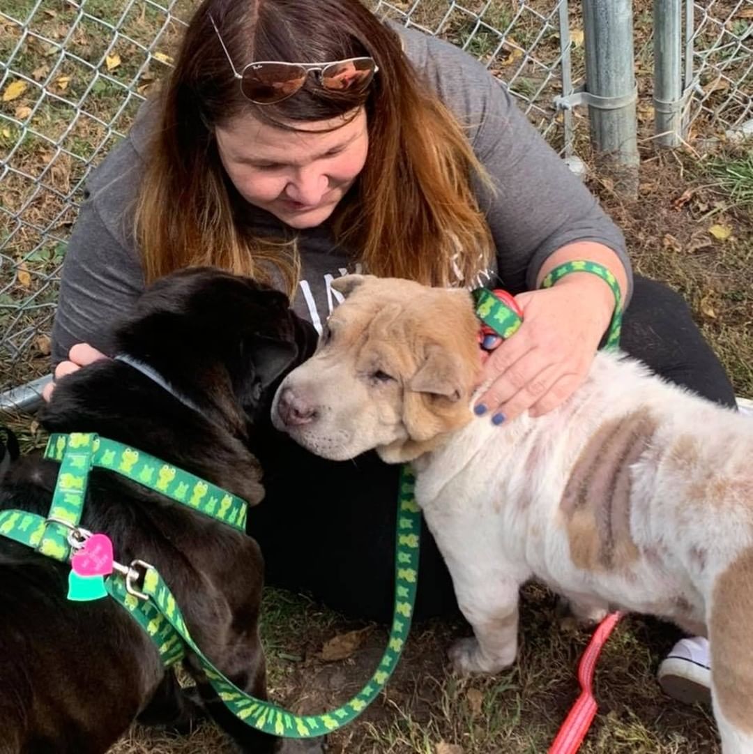 Tortellini, Alfie, Sola, Toffee, Mocha & Latte and Nellie all found their furever families. 🙌🏻🙌🏻

Could you be as lucky as these happy folks? Apply on http://PNCIowa.org today and let’s see if we have a match for you.