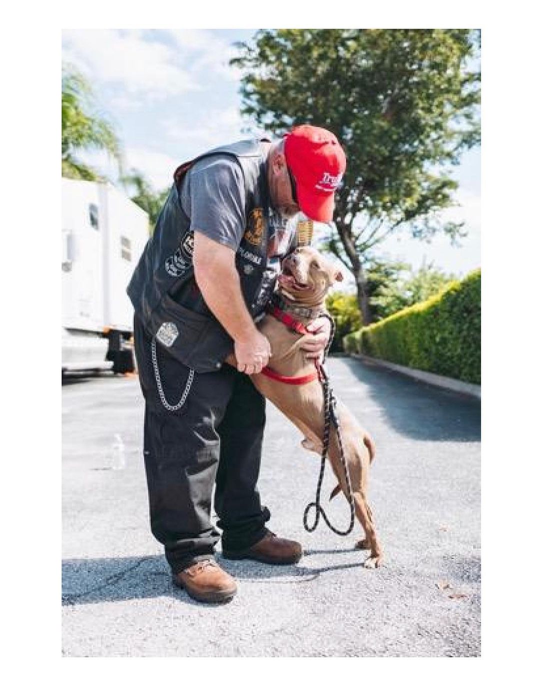 TODAY, WE CELEBRATE LIFE! 🙏🏻

When you donate or help a rescue dog, YOU SAVE A LIFE like Jojo’s AKA Mundell’s. 🙏🏻

On a day like today, THREE YEARS AGO, we saved JoJo AKA Mundell, from DEATH ROW from Sebring, FL. 🙏🏻 The post had mentioned that this precious boy’s life could end at any moment due to lack of space. 😱💔 

EVERYTHING was against this sweet boy. Not only was he a pitbull but at the time, he was also HEARTWORM POSITIVE 😔. 

We knew we couldn’t let him die. 

So, with the help of some AMAZING PEOPLE including Kelly Danforth, off we went to Sebring to save this boy’s life. ❤️

THREE YEARS LATER and Jojo is heart worm free🙏🏻, thinking he is a lapdog and insisting to be held and carried like the little dog he thinks he is and living his best life with his human that loves him very, very much. 💕 

Thank you to everyone who made it possible to save this boy’s life. ❤️🙏🏻💕 

<a target='_blank' href='https://www.instagram.com/explore/tags/rescuedog/'>#rescuedog</a> <a target='_blank' href='https://www.instagram.com/explore/tags/savealife/'>#savealife</a> <a target='_blank' href='https://www.instagram.com/explore/tags/rescuepittie/'>#rescuepittie</a> <a target='_blank' href='https://www.instagram.com/explore/tags/sweetdog/'>#sweetdog</a> <a target='_blank' href='https://www.instagram.com/explore/tags/dontbullymybreed/'>#dontbullymybreed</a> <a target='_blank' href='https://www.instagram.com/explore/tags/gotchaday/'>#gotchaday</a> <a target='_blank' href='https://www.instagram.com/explore/tags/love/'>#love</a> <a target='_blank' href='https://www.instagram.com/explore/tags/puppylove/'>#puppylove</a> <a target='_blank' href='https://www.instagram.com/explore/tags/thisislove/'>#thisislove</a> <a target='_blank' href='https://www.instagram.com/explore/tags/dogadoption/'>#dogadoption</a> <a target='_blank' href='https://www.instagram.com/explore/tags/adoptdontshop/'>#adoptdontshop</a>