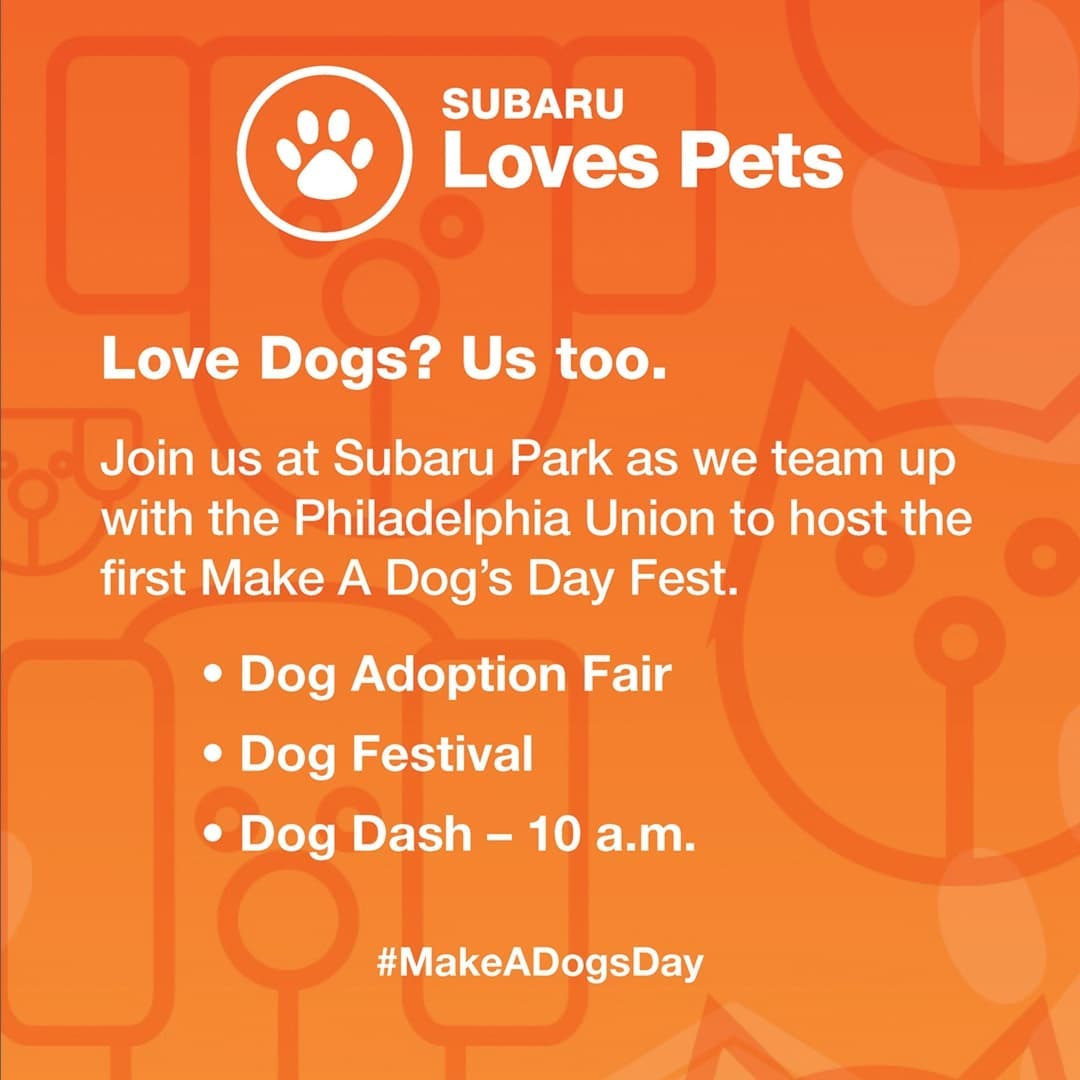 Come out & meet Bear on Sunday at the Subaru <a target='_blank' href='https://www.instagram.com/explore/tags/MakeADogsDay/'>#MakeADogsDay</a> event at Subaru Park in West Chester! Thanks to @subaru_usa & @philaunion for supporting rescue & shelter pets! <a target='_blank' href='https://www.instagram.com/explore/tags/arcticspiritrescue/'>#arcticspiritrescue</a> <a target='_blank' href='https://www.instagram.com/explore/tags/adoptdontshop/'>#adoptdontshop</a> <a target='_blank' href='https://www.instagram.com/explore/tags/rescuedogs/'>#rescuedogs</a> <a target='_blank' href='https://www.instagram.com/explore/tags/rescuedogsofinstagram/'>#rescuedogsofinstagram</a> <a target='_blank' href='https://www.instagram.com/explore/tags/dogsofinstagram/'>#dogsofinstagram</a> <a target='_blank' href='https://www.instagram.com/explore/tags/dogs/'>#dogs</a> <a target='_blank' href='https://www.instagram.com/explore/tags/malamute/'>#malamute</a> <a target='_blank' href='https://www.instagram.com/explore/tags/malamutesofinstagram/'>#malamutesofinstagram</a> <a target='_blank' href='https://www.instagram.com/explore/tags/alaskanmalamute/'>#alaskanmalamute</a> <a target='_blank' href='https://www.instagram.com/explore/tags/alaskanmalamutesofinstagram/'>#alaskanmalamutesofinstagram</a> <a target='_blank' href='https://www.instagram.com/explore/tags/fosterdogs/'>#fosterdogs</a> <a target='_blank' href='https://www.instagram.com/explore/tags/fosterdogsofinstagram/'>#fosterdogsofinstagram</a> <a target='_blank' href='https://www.instagram.com/explore/tags/adopt/'>#adopt</a> <a target='_blank' href='https://www.instagram.com/explore/tags/foster/'>#foster</a> <a target='_blank' href='https://www.instagram.com/explore/tags/rescue/'>#rescue</a> <a target='_blank' href='https://www.instagram.com/explore/tags/bear/'>#bear</a> <a target='_blank' href='https://www.instagram.com/explore/tags/bigdog/'>#bigdog</a> <a target='_blank' href='https://www.instagram.com/explore/tags/rescuepetsofinstagram/'>#rescuepetsofinstagram</a> <a target='_blank' href='https://www.instagram.com/explore/tags/shelterdogsofinstagram/'>#shelterdogsofinstagram</a>