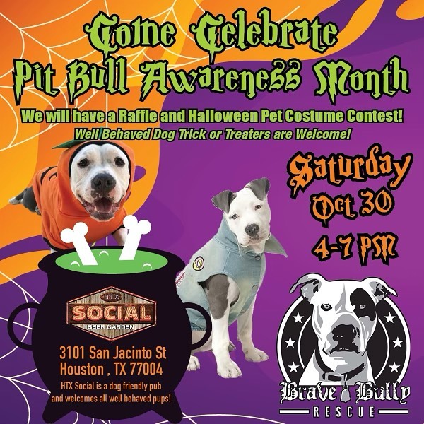 .
National Pit Bull Awareness/ Halloween Event!!🧡🐶 🎃 👻 

Please join Brave Bully Rescue for their 1st event after 1 1/2 years! We are super excited to see all of our Pit Bull advocates and supporters!🥰

Our event will be at @socialbeergarden , Saturday 10/30 from 4-7pm.  We will have our cool merchandise for sale, raffles, costume contest for the fur babies and much more!! 

Celebrate with us the life of our beloved breed who we all fight for everyday! We work hard to Advocate & Educate the public by showing how amazing this breed truly is. Our mission and goal as Pit Bull Rescuers is to change the misperception and negativity dog fighters, gangs and the news media has generated to the public.

Our ultimate goal is to one day end BLS & reduce the number of Pit Bulls in High kill shelters by educating on spay/neuter and responsible Pit Bull ownership.

✨This an event for the entire family!✨
.
.
.
.
<a target='_blank' href='https://www.instagram.com/explore/tags/BraveBullyRescue/'>#BraveBullyRescue</a> <a target='_blank' href='https://www.instagram.com/explore/tags/Advocate/'>#Advocate</a> <a target='_blank' href='https://www.instagram.com/explore/tags/Educate/'>#Educate</a> <a target='_blank' href='https://www.instagram.com/explore/tags/Rescue/'>#Rescue</a> <a target='_blank' href='https://www.instagram.com/explore/tags/Adopt/'>#Adopt</a> <a target='_blank' href='https://www.instagram.com/explore/tags/cowardsfightpitbulls/'>#cowardsfightpitbulls</a> <a target='_blank' href='https://www.instagram.com/explore/tags/thecourageousfightforthem/'>#thecourageousfightforthem</a> <a target='_blank' href='https://www.instagram.com/explore/tags/RescueIsMyFavoriteBreed/'>#RescueIsMyFavoriteBreed</a> <a target='_blank' href='https://www.instagram.com/explore/tags/PunishTheDeedNotTheBreed/'>#PunishTheDeedNotTheBreed</a> <a target='_blank' href='https://www.instagram.com/explore/tags/AdoptDontShop/'>#AdoptDontShop</a> <a target='_blank' href='https://www.instagram.com/explore/tags/bullylove/'>#bullylove</a> <a target='_blank' href='https://www.instagram.com/explore/tags/PitBullLife/'>#PitBullLife</a> <a target='_blank' href='https://www.instagram.com/explore/tags/PitBullsRock/'>#PitBullsRock</a> <a target='_blank' href='https://www.instagram.com/explore/tags/BraveBullyRescueRocks/'>#BraveBullyRescueRocks</a> <a target='_blank' href='https://www.instagram.com/explore/tags/pitbullsofinstagram/'>#pitbullsofinstagram</a> <a target='_blank' href='https://www.instagram.com/explore/tags/DontBullyMyBreed/'>#DontBullyMyBreed</a> <a target='_blank' href='https://www.instagram.com/explore/tags/FostersAreHeroes/'>#FostersAreHeroes</a> <a target='_blank' href='https://www.instagram.com/explore/tags/FostersSaveLives/'>#FostersSaveLives</a> <a target='_blank' href='https://www.instagram.com/explore/tags/makepitbullsgreatagain/'>#makepitbullsgreatagain</a> <a target='_blank' href='https://www.instagram.com/explore/tags/pitbullslivesmatter/'>#pitbullslivesmatter</a> <a target='_blank' href='https://www.instagram.com/explore/tags/donateforacause/'>#donateforacause</a> <a target='_blank' href='https://www.instagram.com/explore/tags/endanimalcruelty/'>#endanimalcruelty</a>
<a target='_blank' href='https://www.instagram.com/explore/tags/bulliesandbrewskis/'>#bulliesandbrewskis</a> <a target='_blank' href='https://www.instagram.com/explore/tags/BeerAndBullies/'>#BeerAndBullies</a> <a target='_blank' href='https://www.instagram.com/explore/tags/pitbullawarenessmonth/'>#pitbullawarenessmonth</a> <a target='_blank' href='https://www.instagram.com/explore/tags/socialbeergardenhtx/'>#socialbeergardenhtx</a>