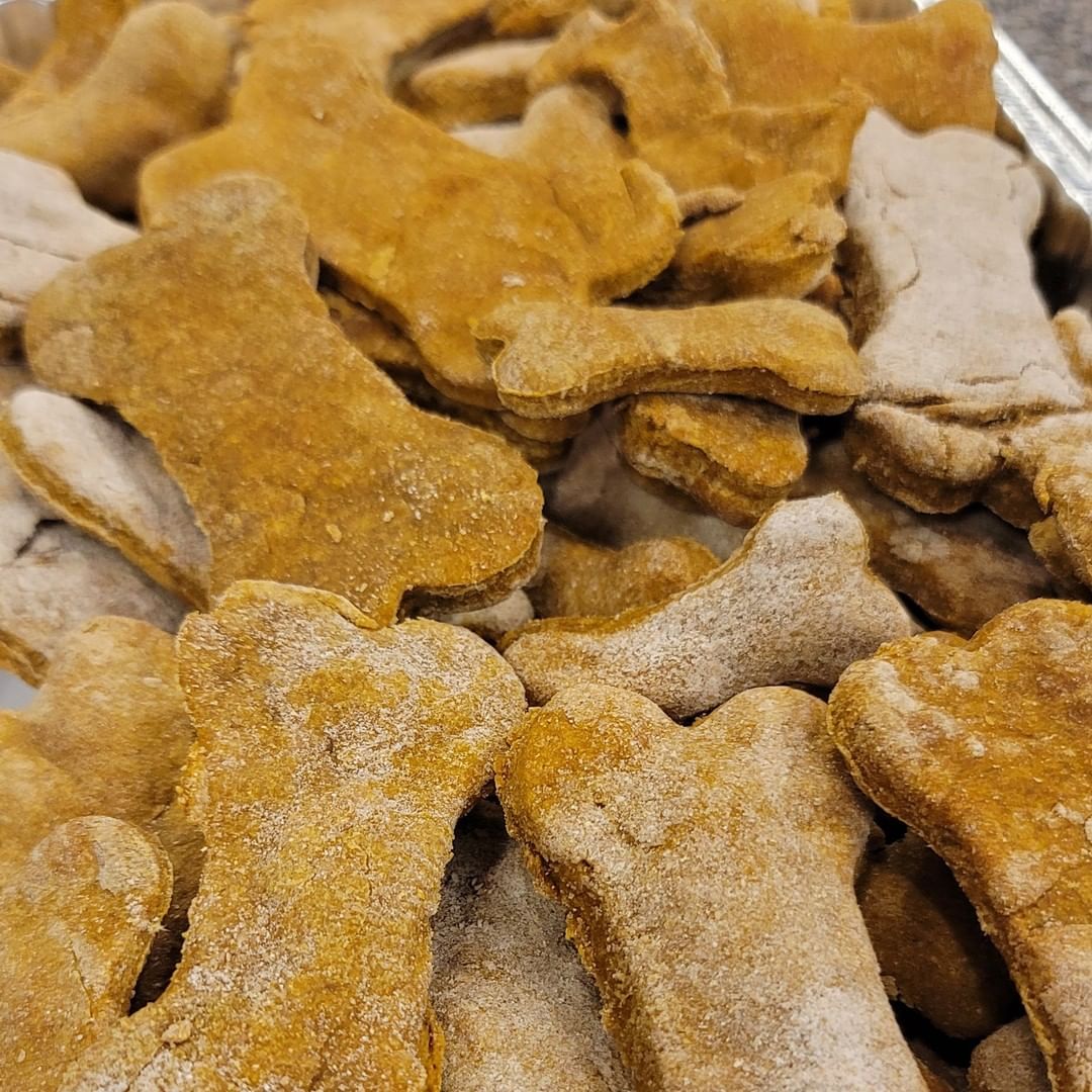 PUPDATE:
The treats from the residents of Truewood by Merrill, Charlotte Center Were a hit!!! 🐾💞 🦴
Thanks again to all the residents who helped make the pup treats.
<a target='_blank' href='https://www.instagram.com/explore/tags/spoiledpups/'>#spoiledpups</a> <a target='_blank' href='https://www.instagram.com/explore/tags/puptreats/'>#puptreats</a> <a target='_blank' href='https://www.instagram.com/explore/tags/awlshelter/'>#awlshelter</a> <a target='_blank' href='https://www.instagram.com/explore/tags/fureverhomesneeded/'>#fureverhomesneeded</a>