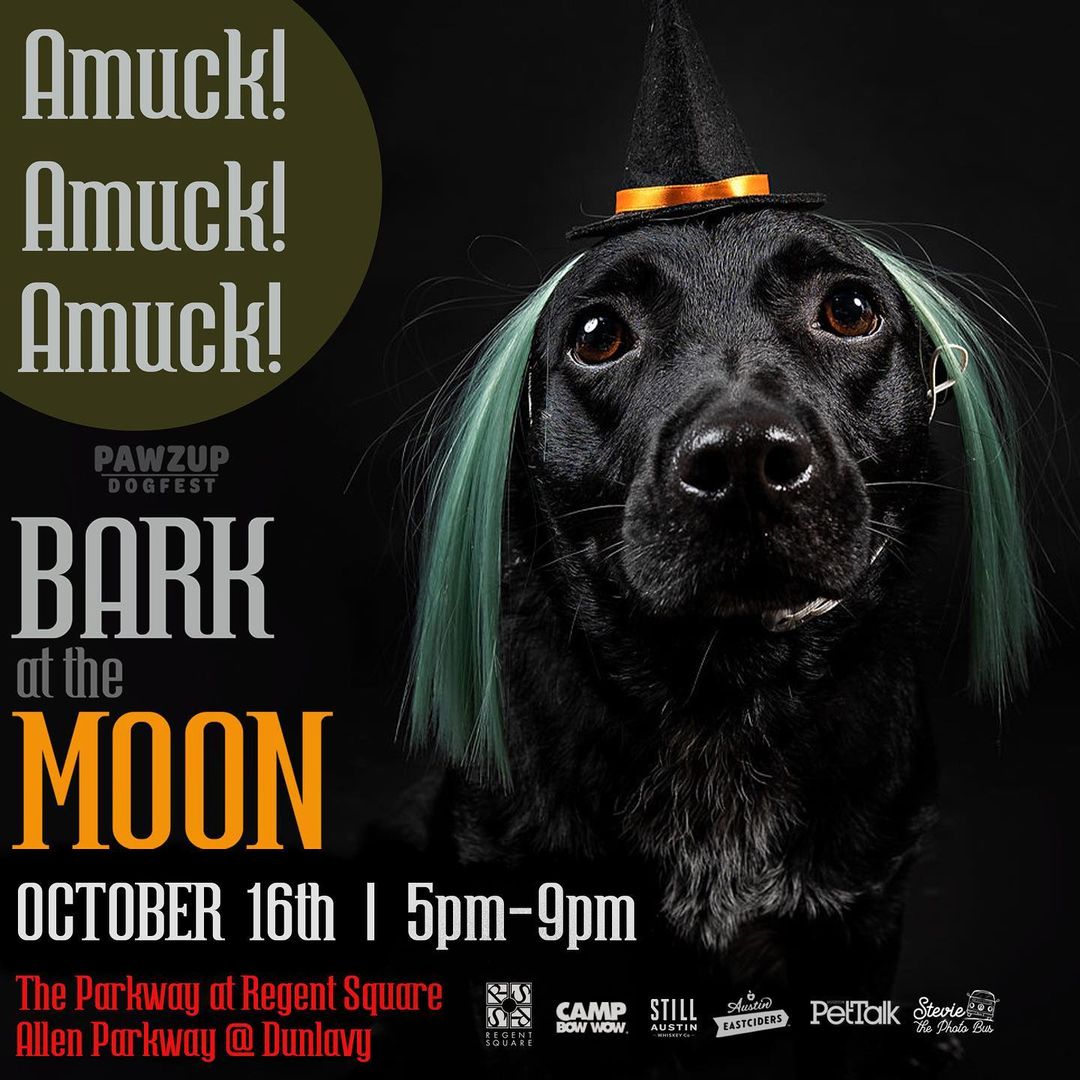 Today is the big day! Come see us at Bark at The Moon from 5 PM to 9 PM. We will have adoptable dogs, four awesome raffle prizes and rescue merchandise! There’s also a dog costume contest, lots of vendors, food and drinks! 3601 Allen Parkway, Houston, TX. @pawzuphtx <a target='_blank' href='https://www.instagram.com/explore/tags/hhfr/'>#hhfr</a> <a target='_blank' href='https://www.instagram.com/explore/tags/pawzup/'>#pawzup</a> <a target='_blank' href='https://www.instagram.com/explore/tags/barkatthemoon/'>#barkatthemoon</a> <a target='_blank' href='https://www.instagram.com/explore/tags/adoptdontshop/'>#adoptdontshop</a> <a target='_blank' href='https://www.instagram.com/explore/tags/fundraiser/'>#fundraiser</a> <a target='_blank' href='https://www.instagram.com/explore/tags/costume/'>#costume</a> contest <a target='_blank' href='https://www.instagram.com/explore/tags/kidfriendly/'>#kidfriendly</a> <a target='_blank' href='https://www.instagram.com/explore/tags/dogfriendly/'>#dogfriendly</a> <a target='_blank' href='https://www.instagram.com/explore/tags/Houston/'>#Houston</a>