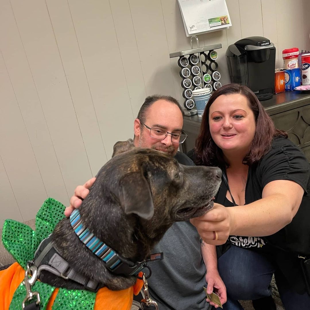 Julie and H.F. Help's little pumpkin, Daisy, heading to the Fox 24 Charleston Pet Of The Week.  They made new friends and then stopped for a pup cup at Starbucks.  What a great day out!