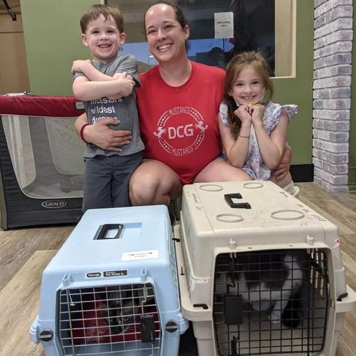 Tortellini, Alfie, Sola, Toffee, Mocha & Latte and Nellie all found their furever families. 🙌🏻🙌🏻

Could you be as lucky as these happy folks? Apply on http://PNCIowa.org today and let’s see if we have a match for you.