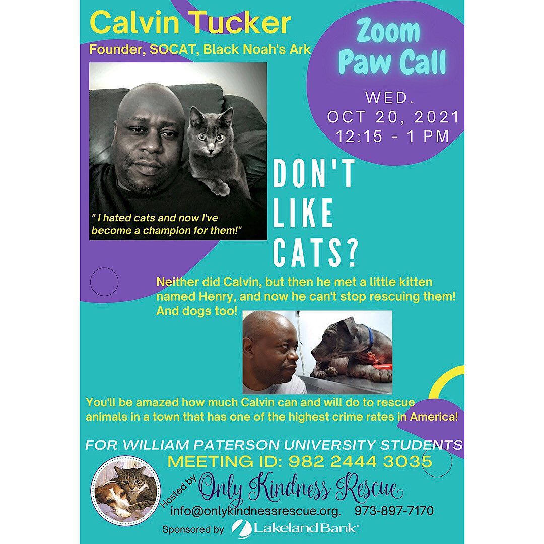 For William Paterson University Students!!!!!
 - Please Join us on our next Zoom Paw Call in our Pioneer Paws program! 

WPU STUDENTS! Please Share 

🐾🐾🐾🐾💜💜🐾🐾🐾🐾 
<a target='_blank' href='https://www.instagram.com/explore/tags/KindnessKitty/'>#KindnessKitty</a> <a target='_blank' href='https://www.instagram.com/explore/tags/Kindness/'>#Kindness</a> <a target='_blank' href='https://www.instagram.com/explore/tags/Kitty/'>#Kitty</a> <a target='_blank' href='https://www.instagram.com/explore/tags/wpunj/'>#wpunj</a> <a target='_blank' href='https://www.instagram.com/explore/tags/dogoodwp/'>#dogoodwp</a> <a target='_blank' href='https://www.instagram.com/explore/tags/blacknoah1/'>#blacknoah1</a> <a target='_blank' href='https://www.instagram.com/explore/tags/wunderdogs/'>#wunderdogs</a> <a target='_blank' href='https://www.instagram.com/explore/tags/wunderdogstotherescue/'>#wunderdogstotherescue</a> <a target='_blank' href='https://www.instagram.com/explore/tags/volunteer/'>#volunteer</a> <a target='_blank' href='https://www.instagram.com/explore/tags/compassion/'>#compassion</a> <a target='_blank' href='https://www.instagram.com/explore/tags/empathy/'>#empathy</a> <a target='_blank' href='https://www.instagram.com/explore/tags/community/'>#community</a> <a target='_blank' href='https://www.instagram.com/explore/tags/AnimalRescue/'>#AnimalRescue</a> <a target='_blank' href='https://www.instagram.com/explore/tags/AnimalWelfare/'>#AnimalWelfare</a> <a target='_blank' href='https://www.instagram.com/explore/tags/humaneeducation/'>#humaneeducation</a> <a target='_blank' href='https://www.instagram.com/explore/tags/socialjustice/'>#socialjustice</a> <a target='_blank' href='https://www.instagram.com/explore/tags/student/'>#student</a> <a target='_blank' href='https://www.instagram.com/explore/tags/youth/'>#youth</a> <a target='_blank' href='https://www.instagram.com/explore/tags/study/'>#study</a> <a target='_blank' href='https://www.instagram.com/explore/tags/career/'>#career</a> <a target='_blank' href='https://www.instagram.com/explore/tags/animals/'>#animals</a> <a target='_blank' href='https://www.instagram.com/explore/tags/Dog/'>#Dog</a> <a target='_blank' href='https://www.instagram.com/explore/tags/Cat/'>#Cat</a> <a target='_blank' href='https://www.instagram.com/explore/tags/BFF/'>#BFF</a> <a target='_blank' href='https://www.instagram.com/explore/tags/LoveMyPet/'>#LoveMyPet</a> <a target='_blank' href='https://www.instagram.com/explore/tags/alleycatallies/'>#alleycatallies</a> <a target='_blank' href='https://www.instagram.com/explore/tags/communitycat/'>#communitycat</a> <a target='_blank' href='https://www.instagram.com/explore/tags/feralcat/'>#feralcat</a> <a target='_blank' href='https://www.instagram.com/explore/tags/tnr/'>#tnr</a> <a target='_blank' href='https://www.instagram.com/explore/tags/tnrsaveslives/'>#tnrsaveslives</a>